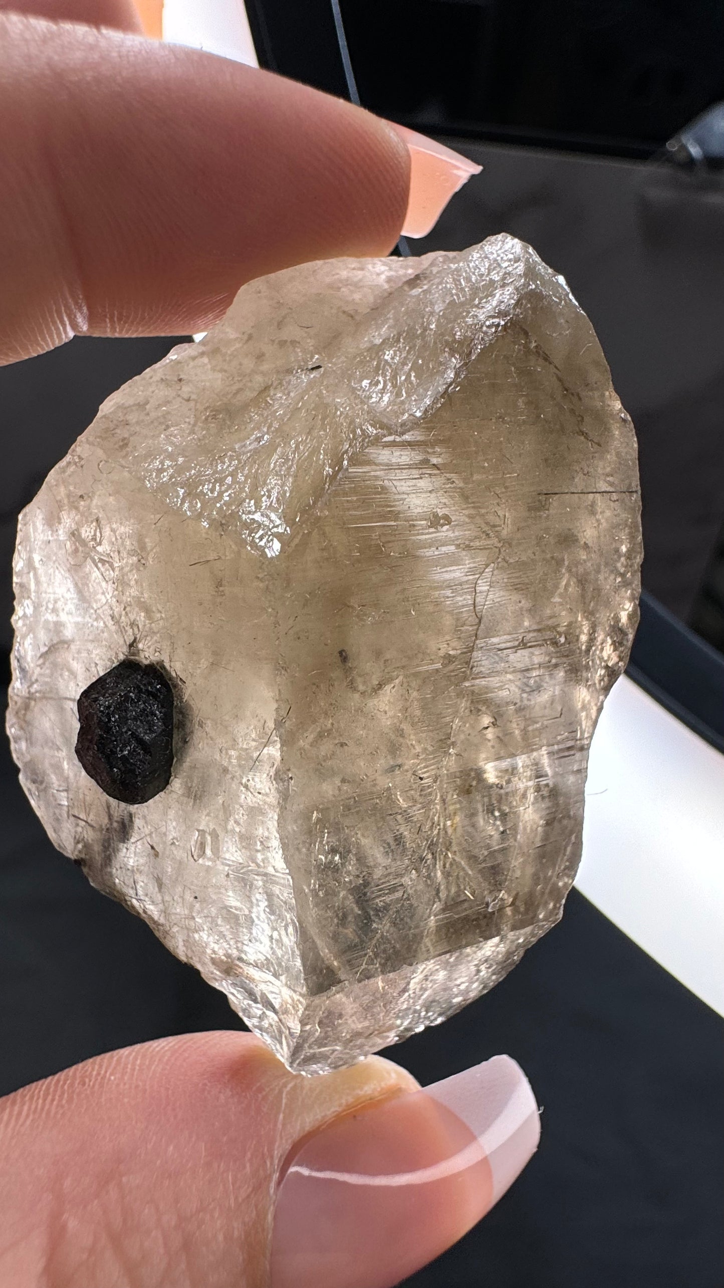 Black and blue tourmaline in Smokey quartz