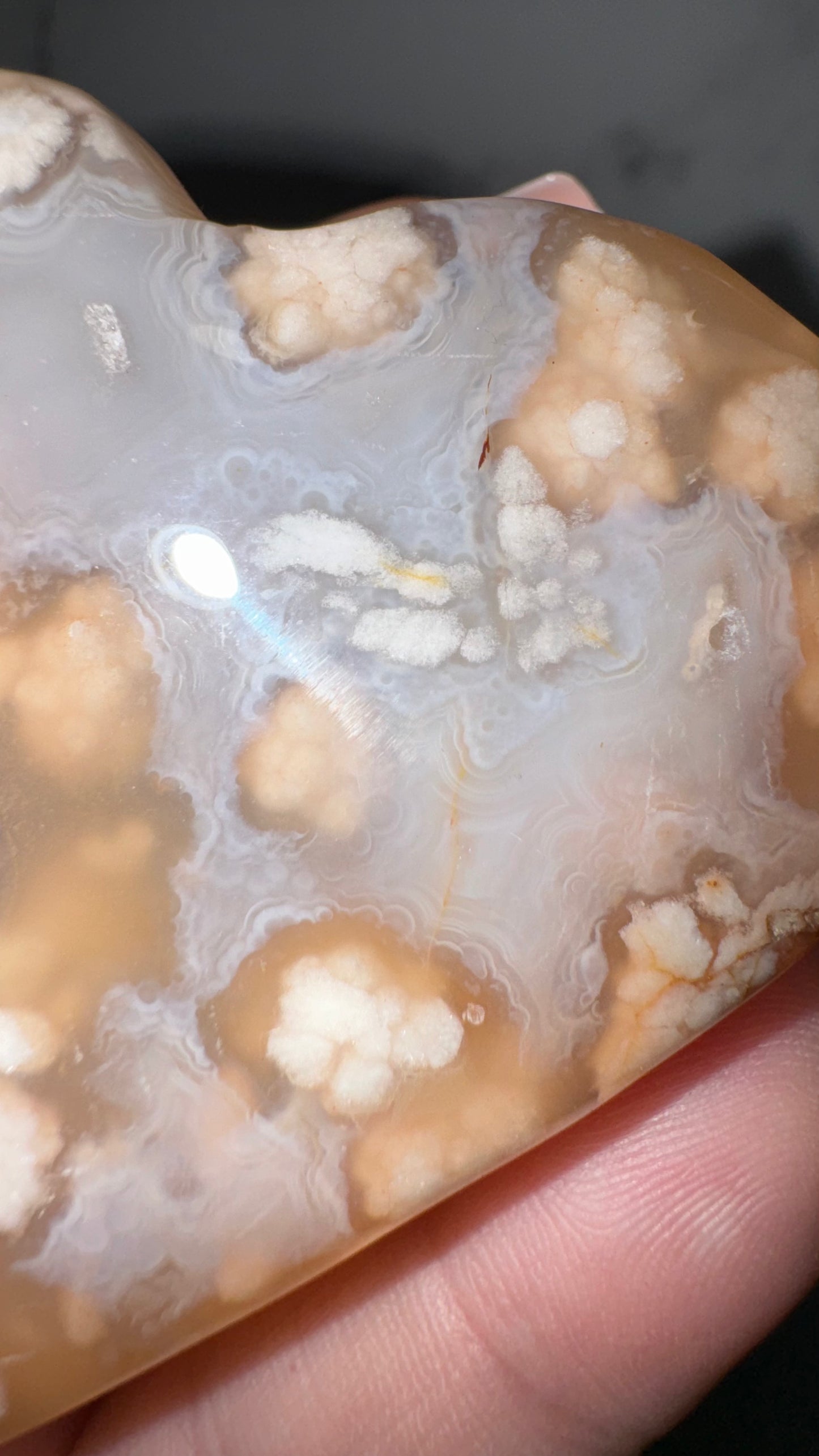 Flower agate with crazy lace!