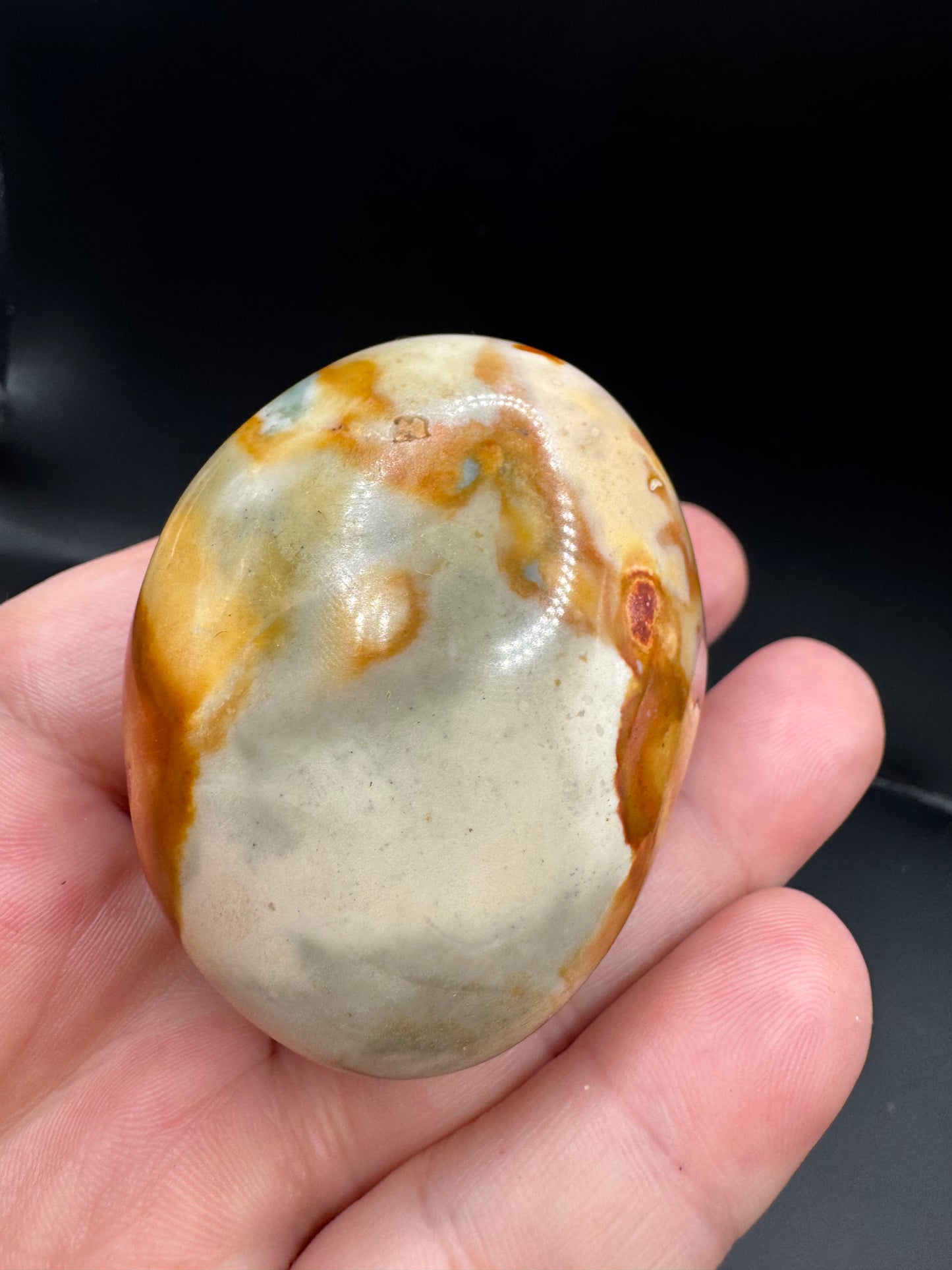 Polychrome jasper palm