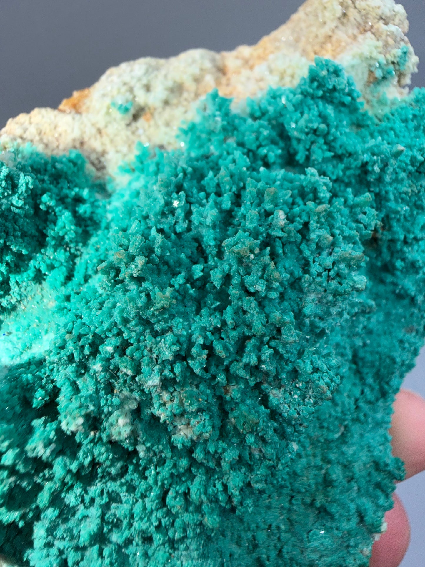 Chrysocolla