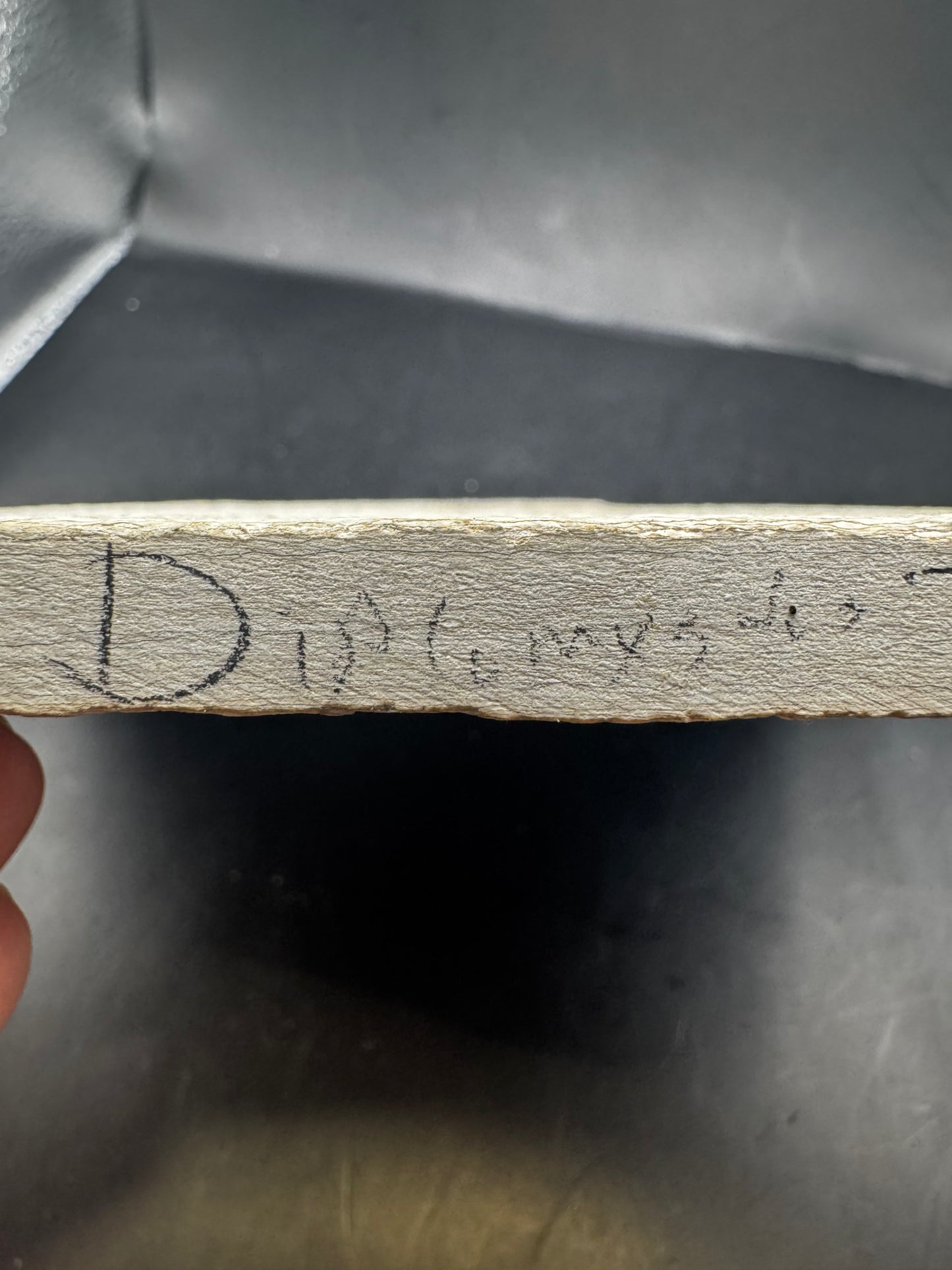 Diplomystus fish fossil