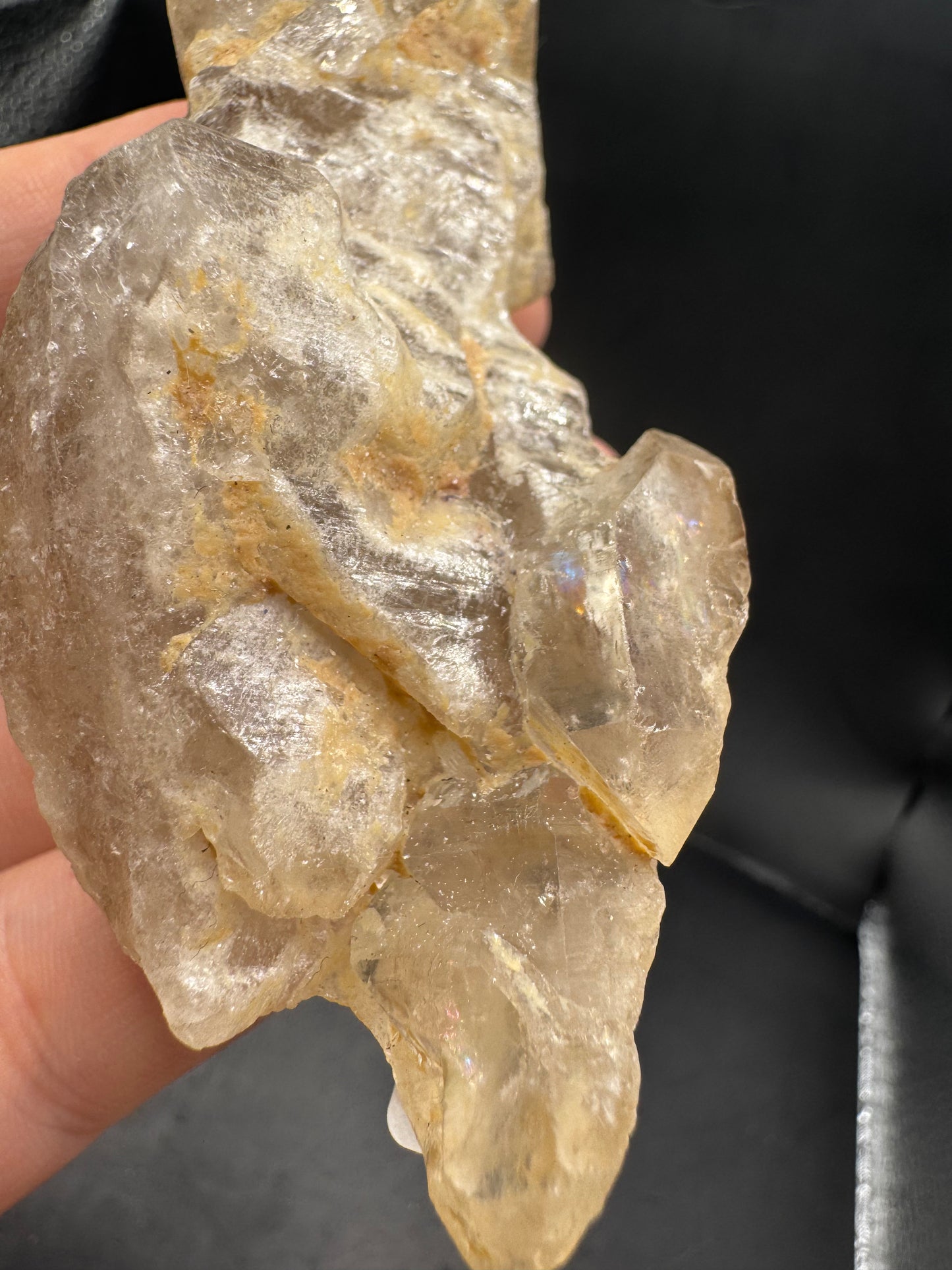 Alligator quartz