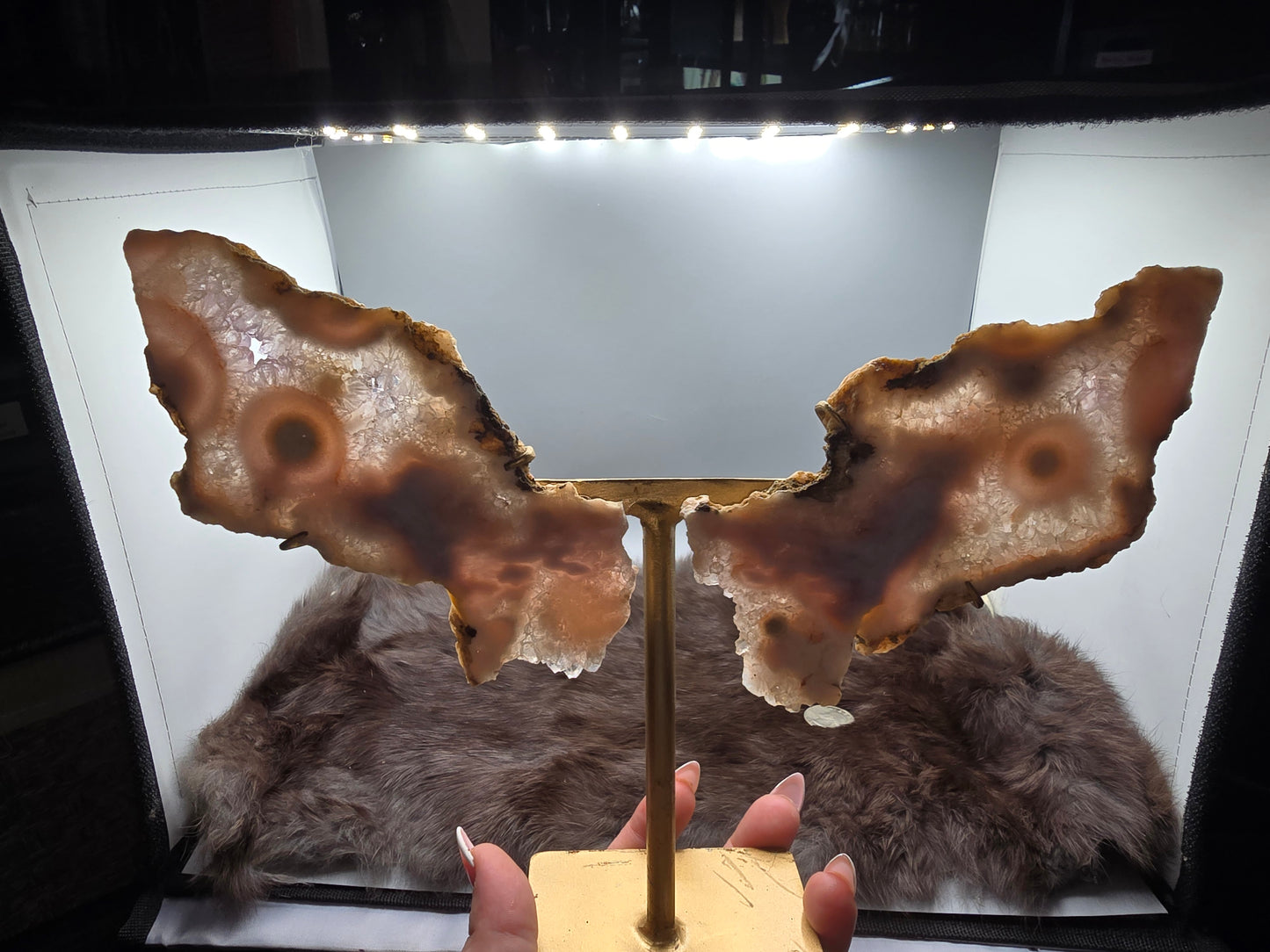 Flower agate wings