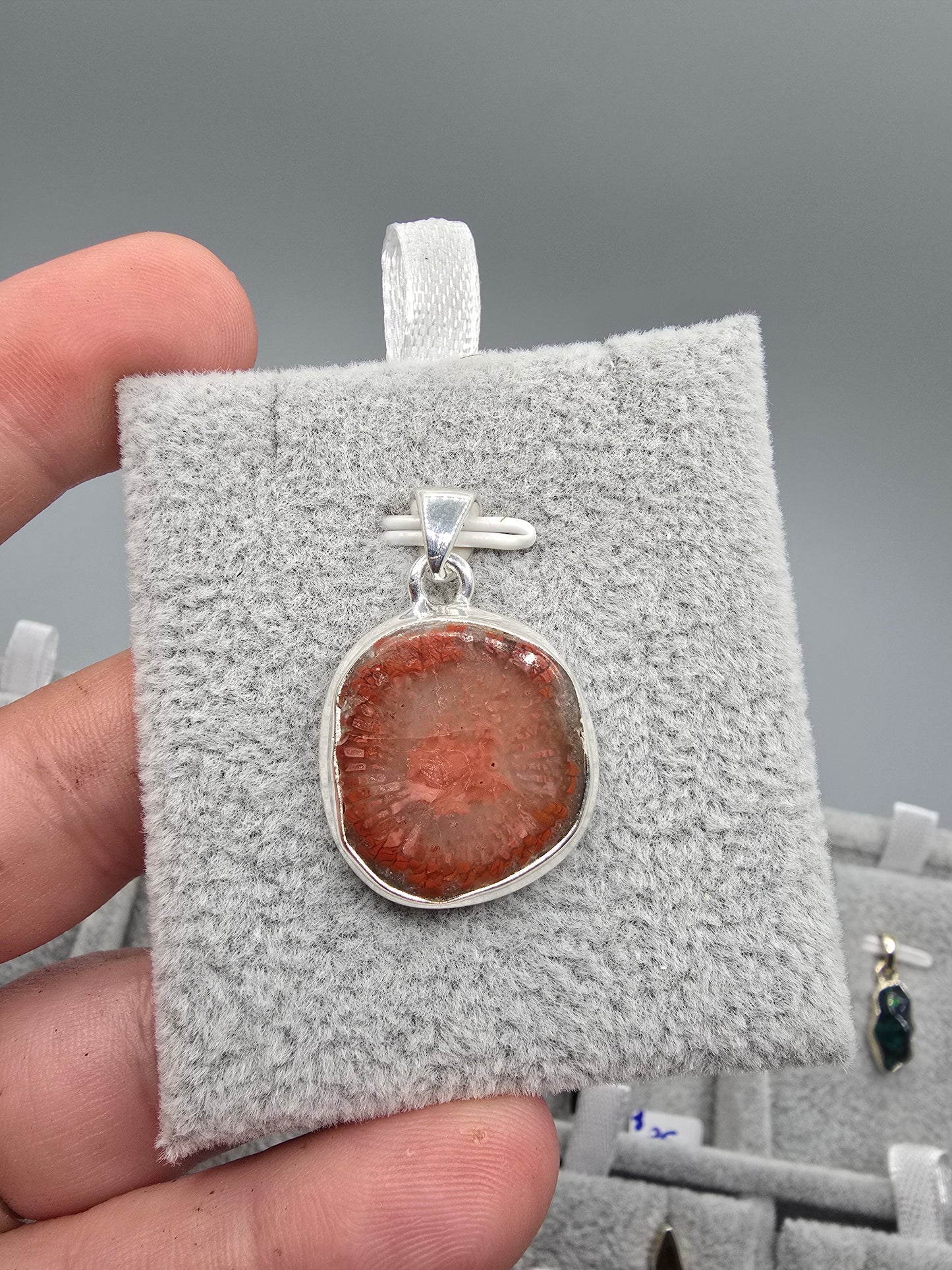 Red horn coral