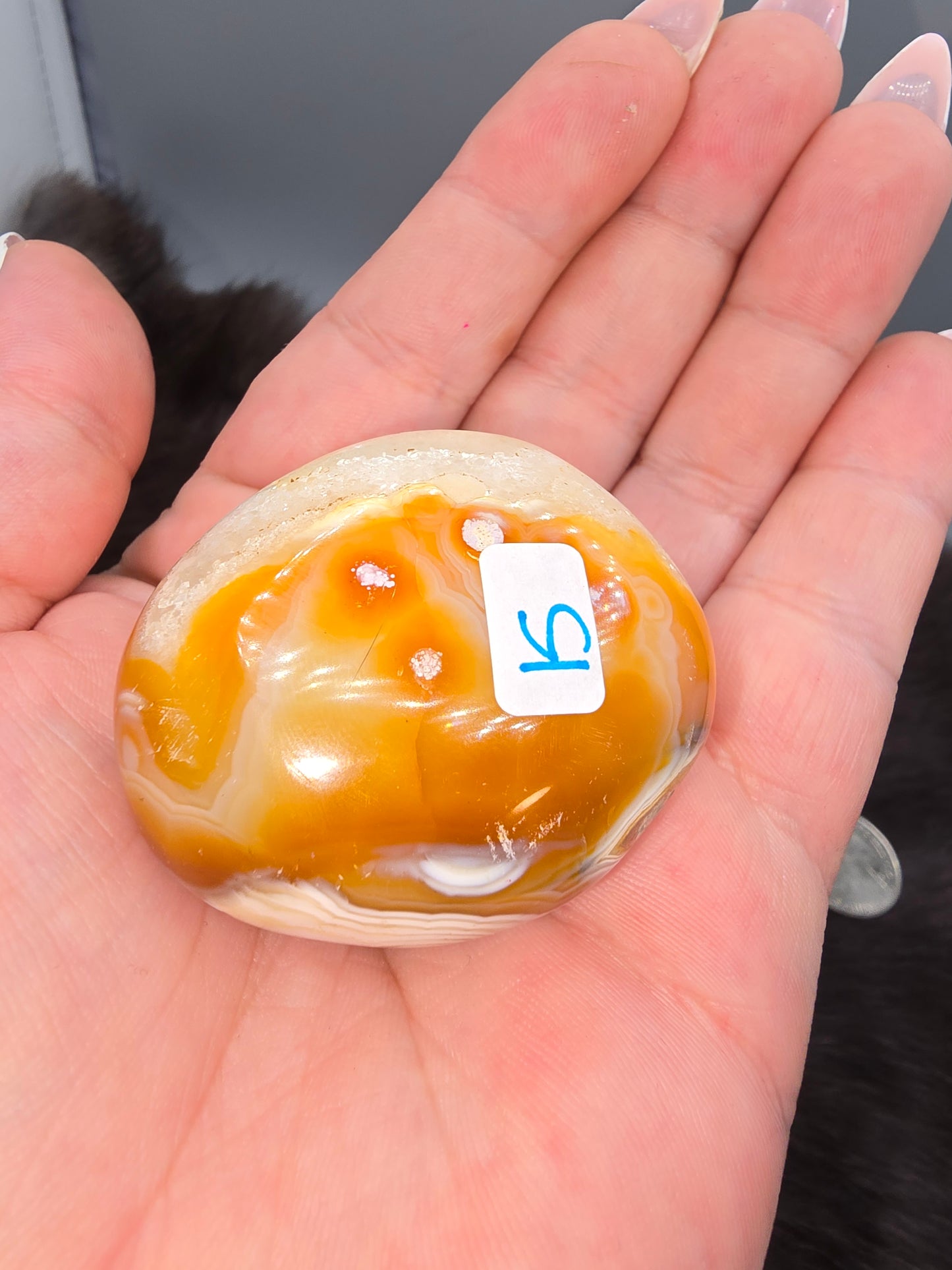 Orca carnelian