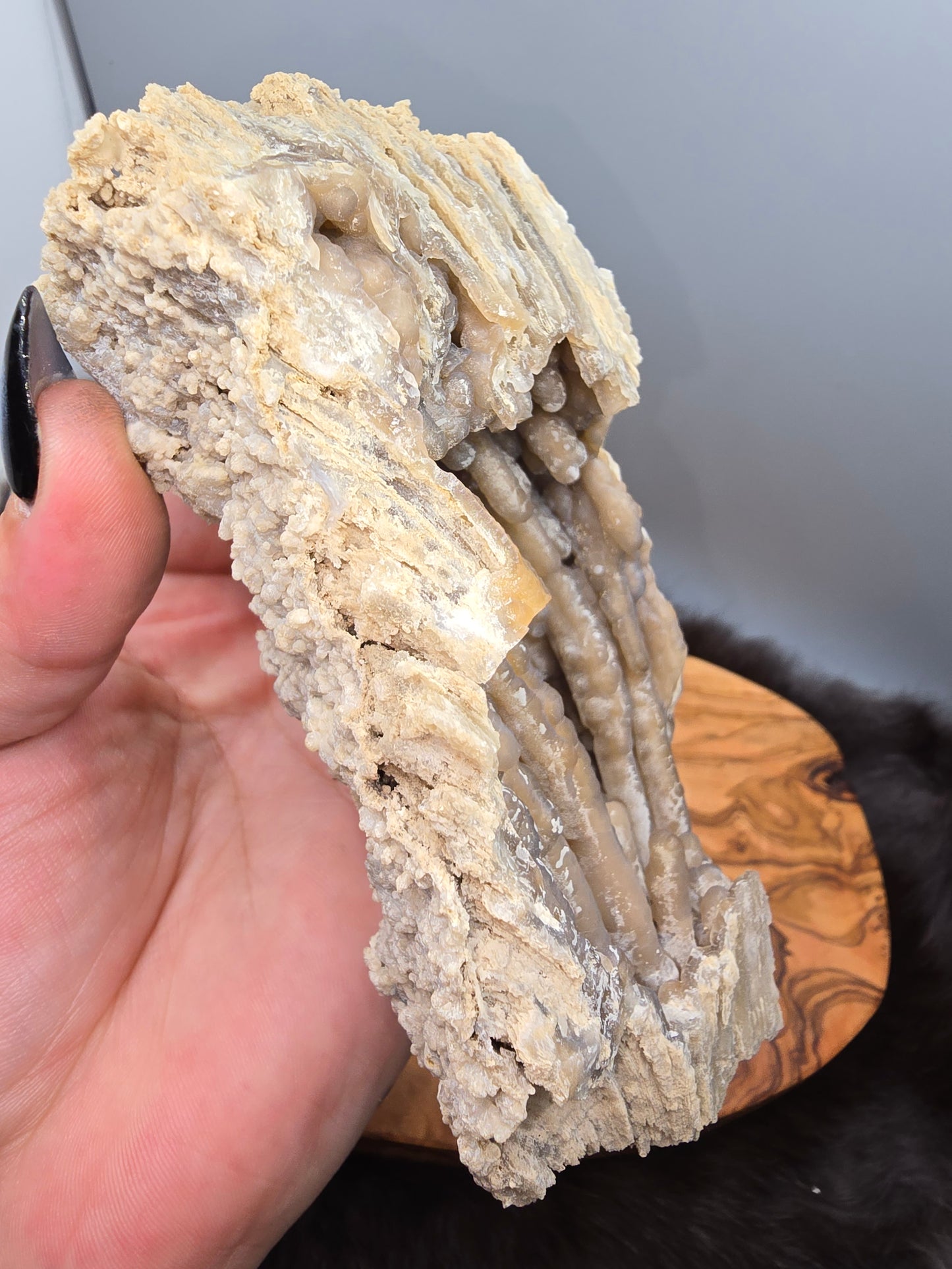 Agatized coral
