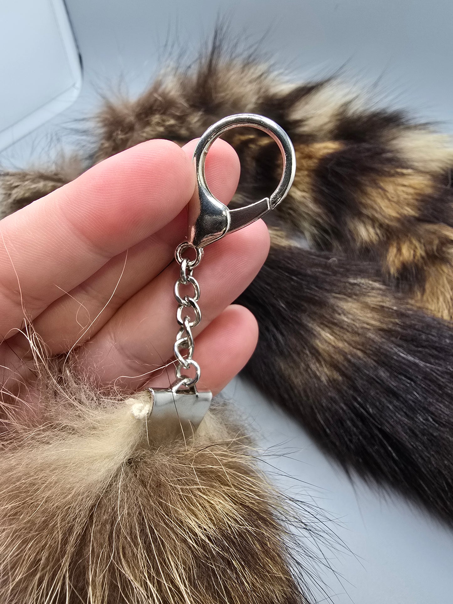 Raccoon tails