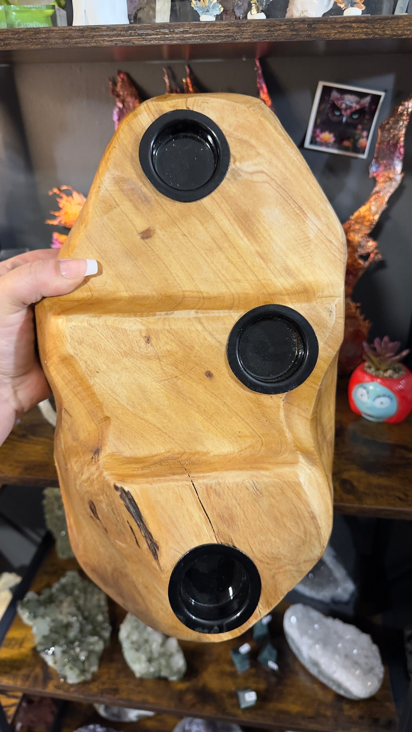 Shan mu root wood stand