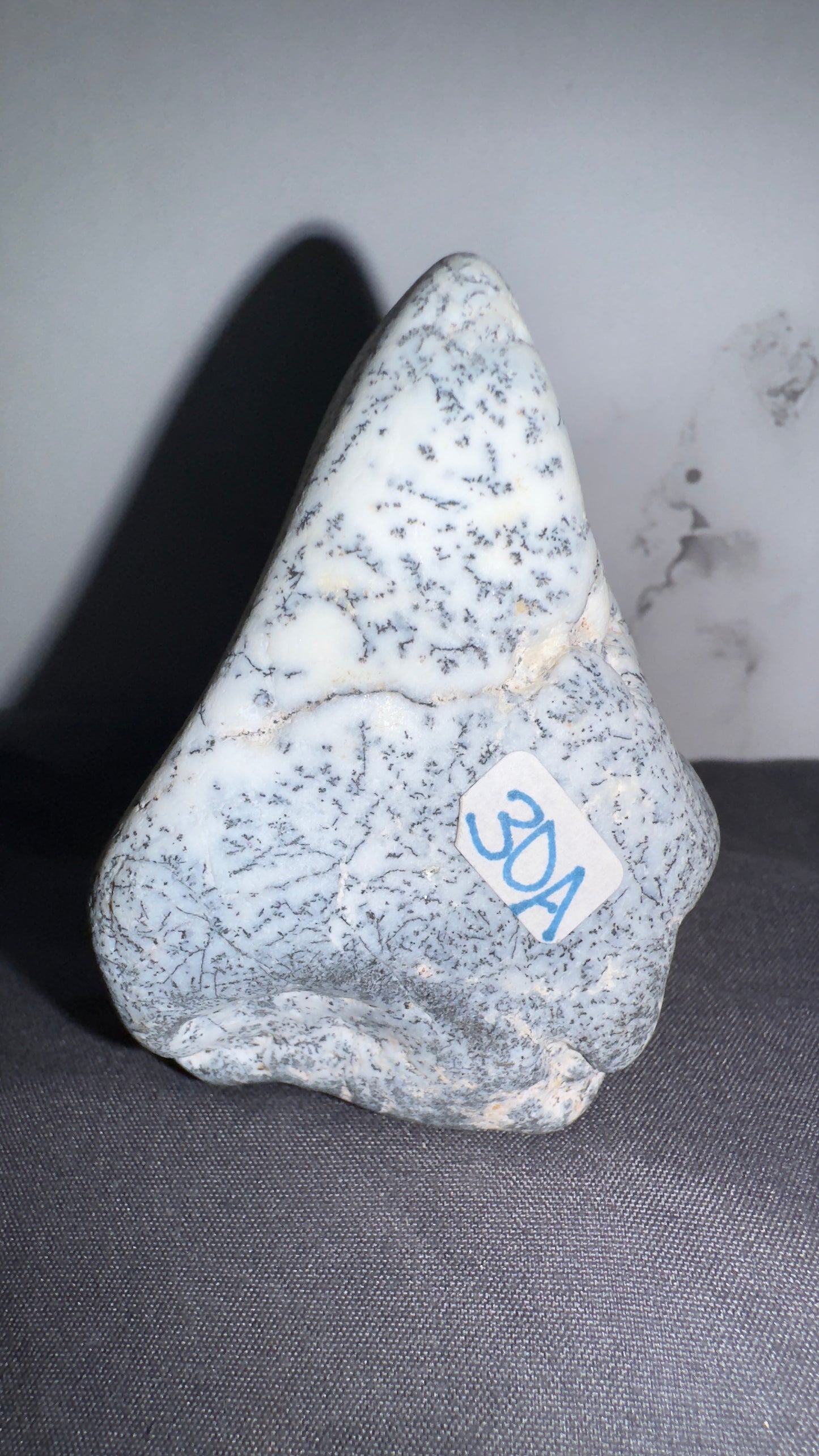 Dendretic opal
