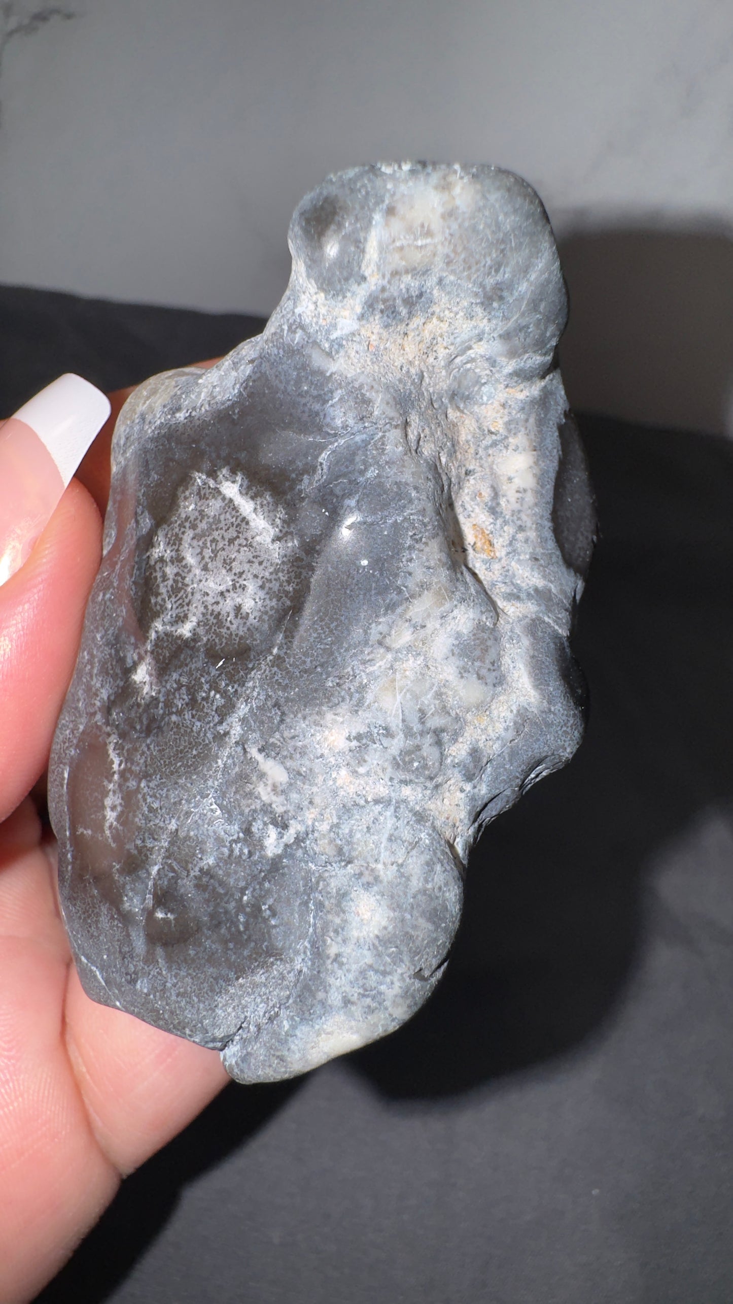 Dendretic opal