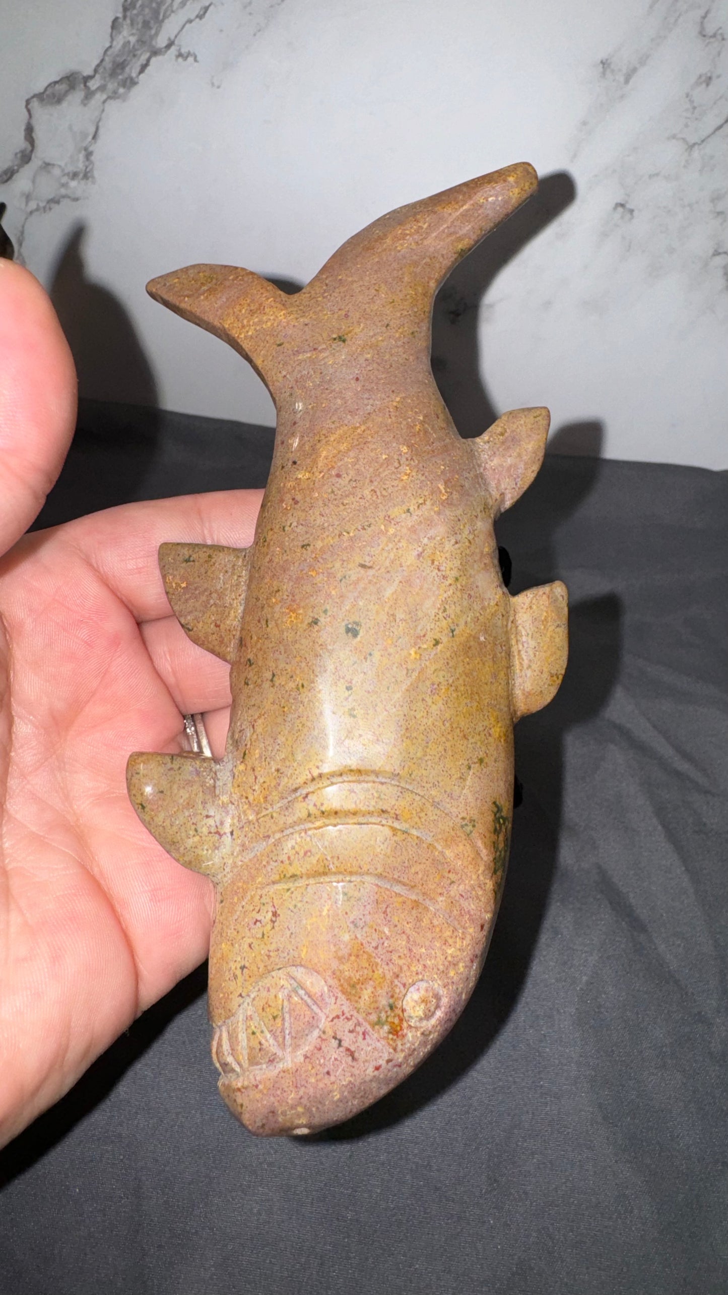 Ocean jasper shark