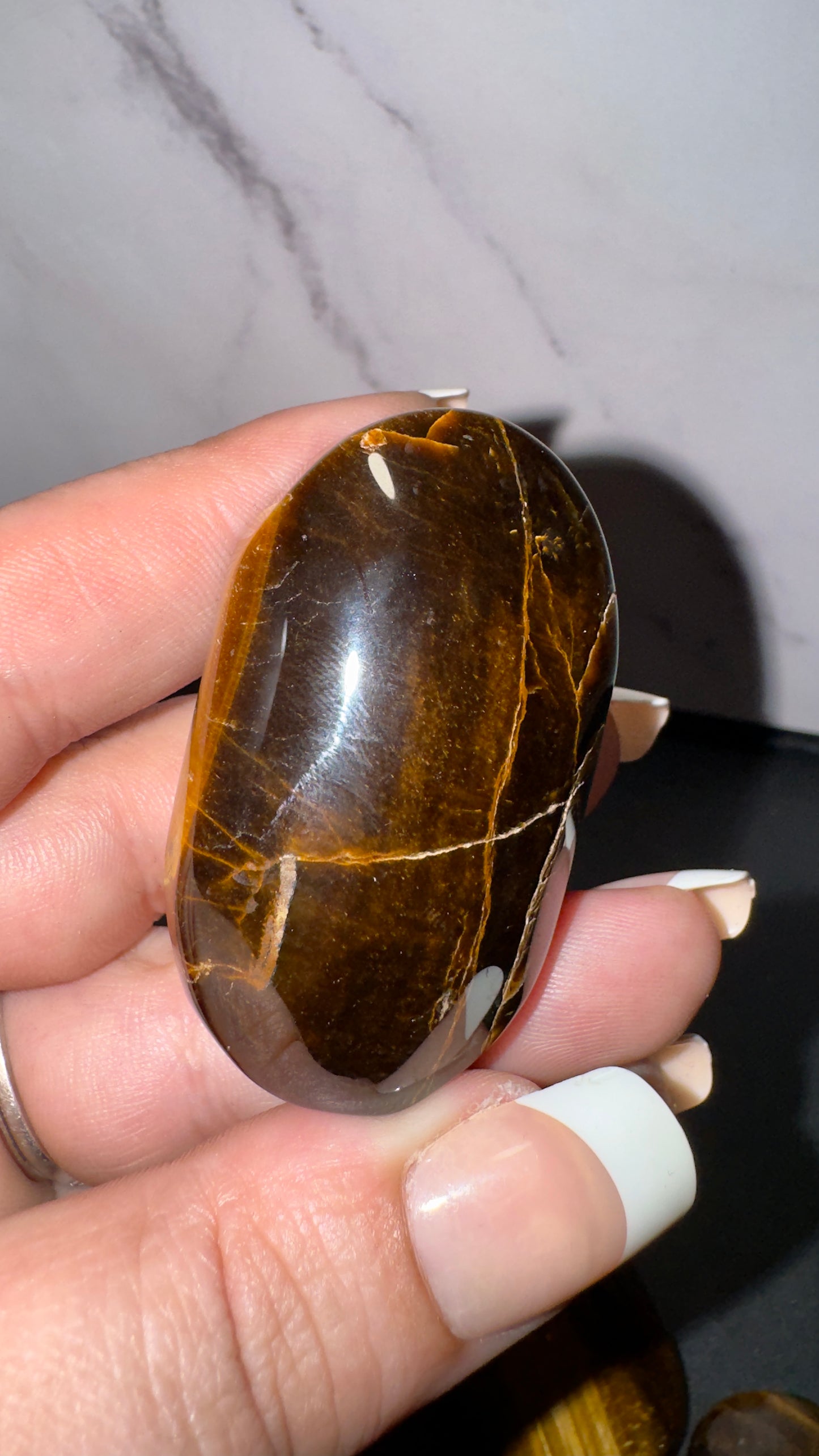 Mini tigers eye palms