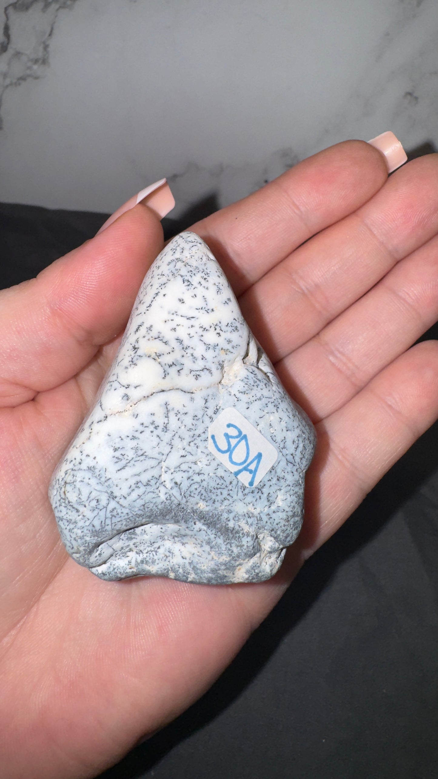 Dendretic opal