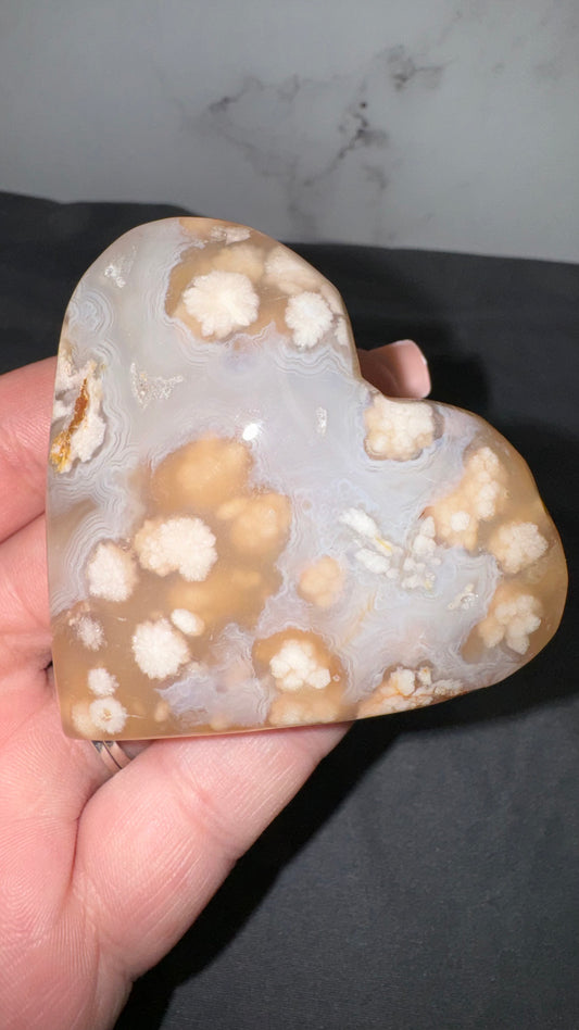 Flower agate with crazy lace!