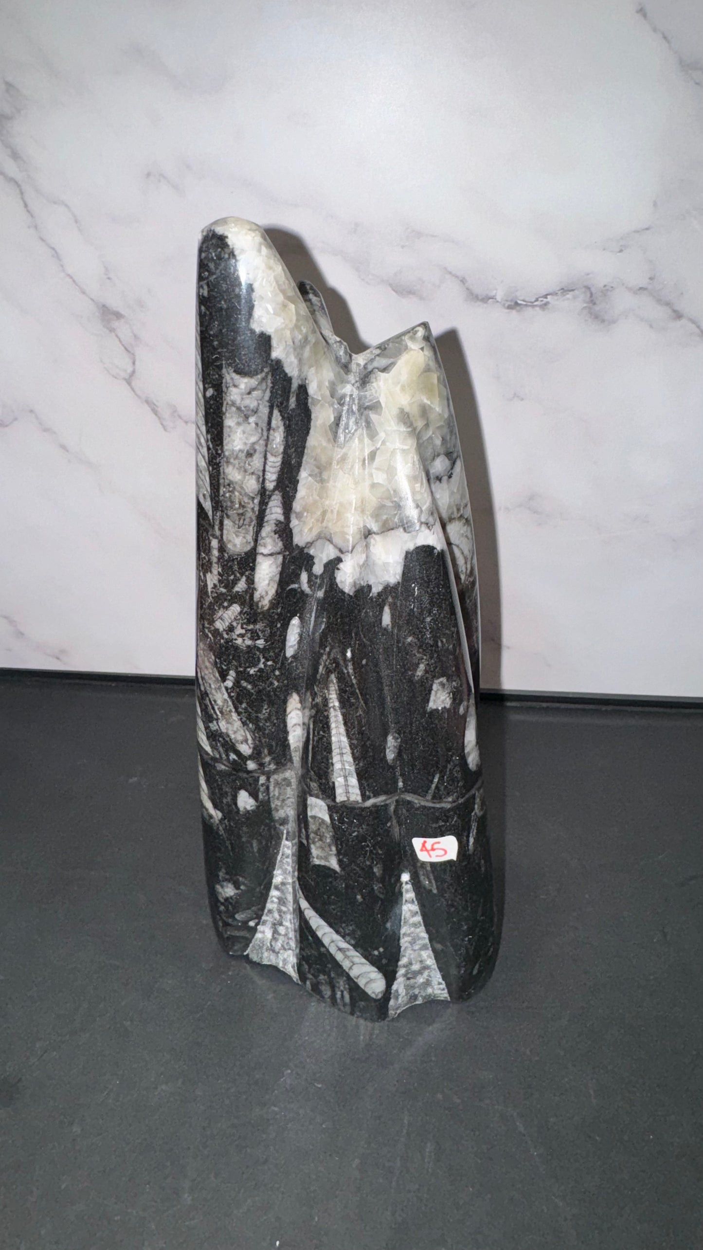 Orthosaurus statue