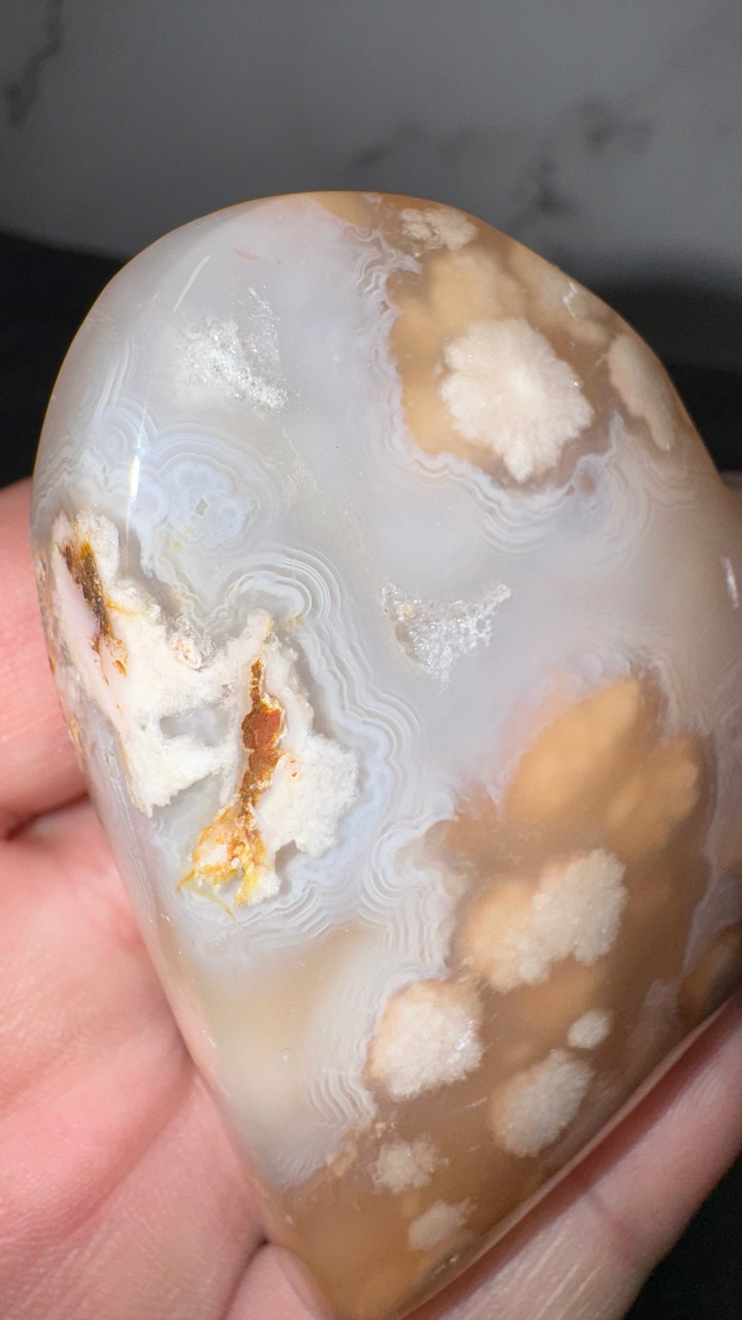 Flower agate with crazy lace!