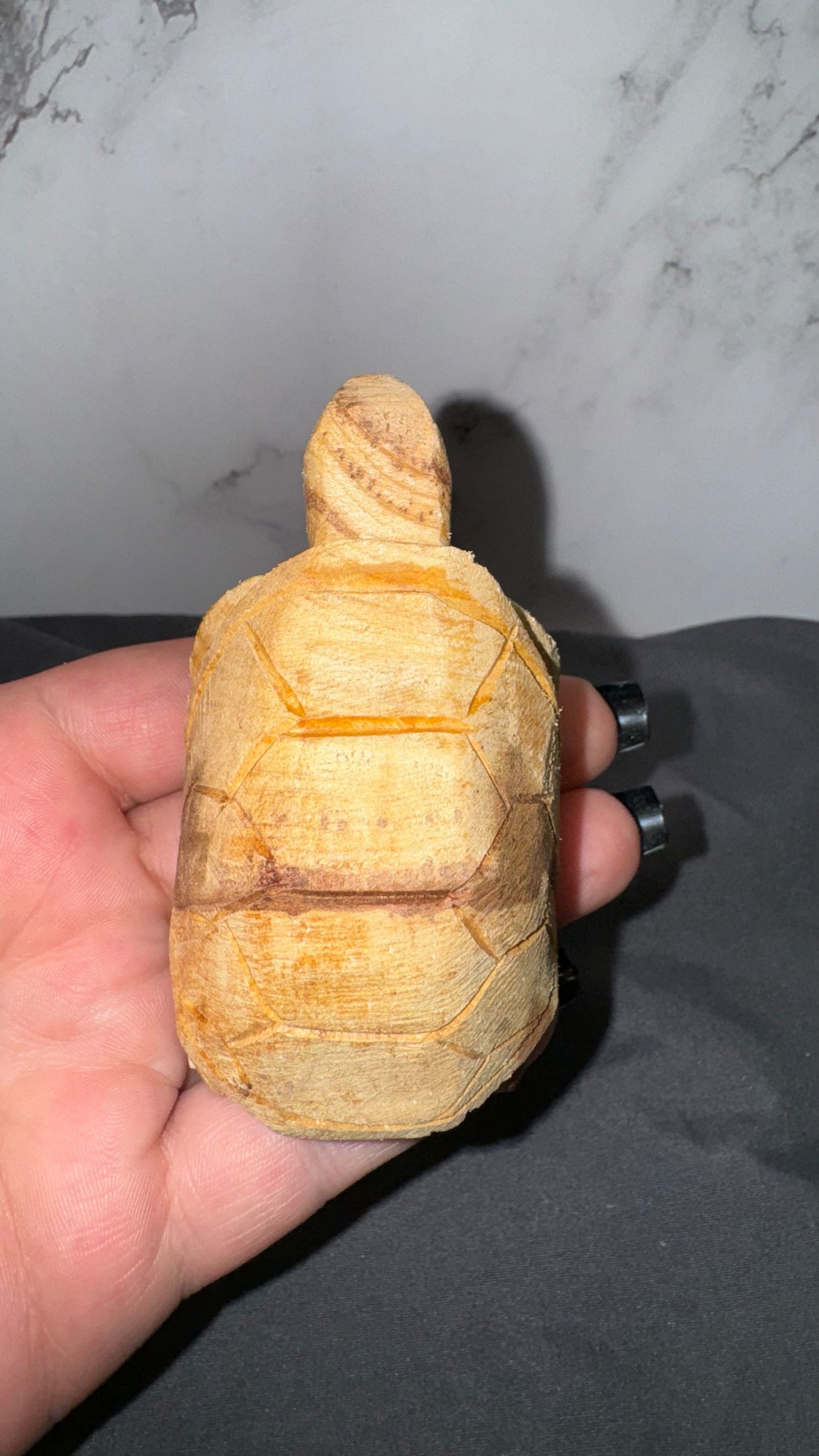 Palo santo turtles