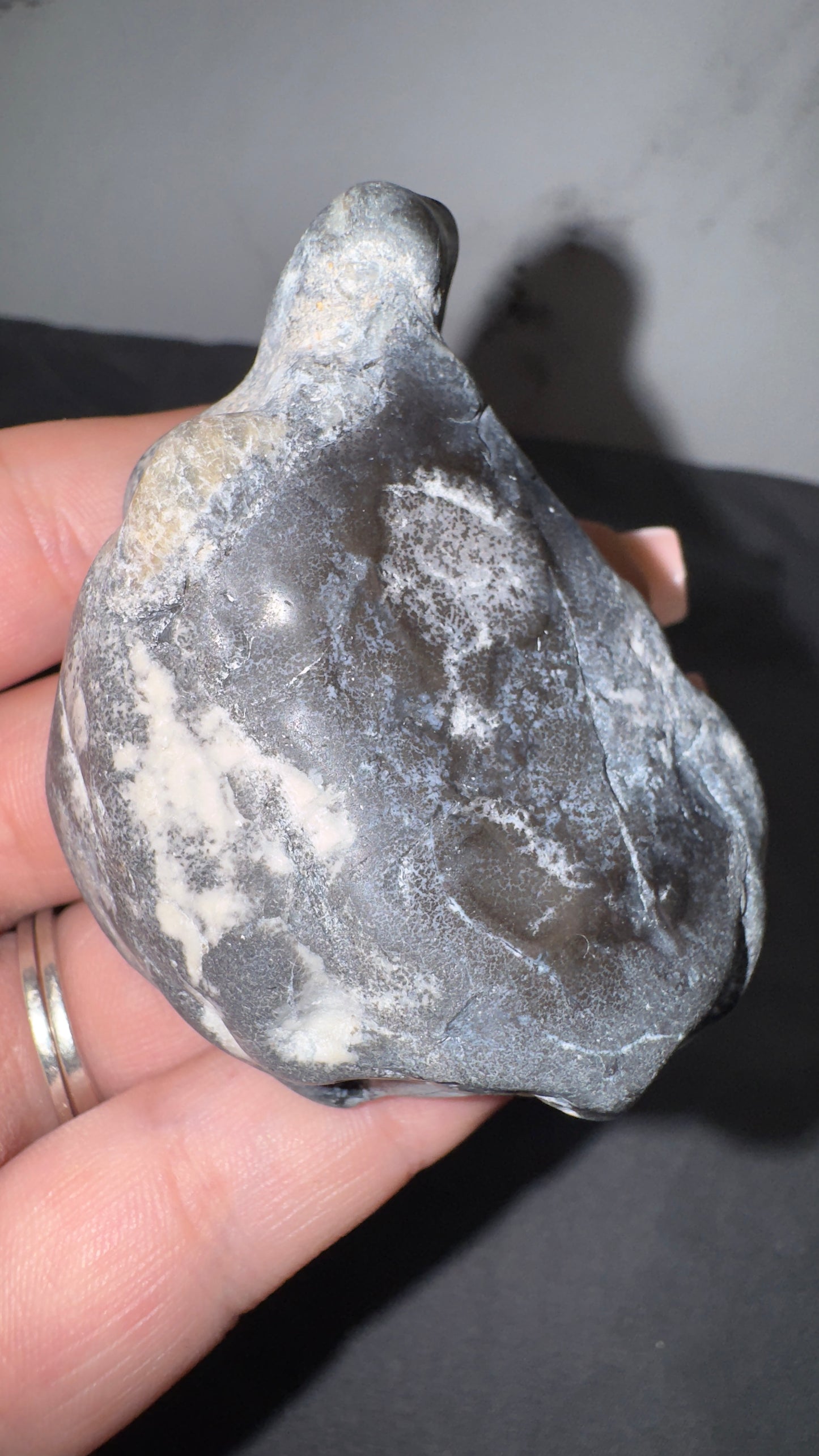 Dendretic opal