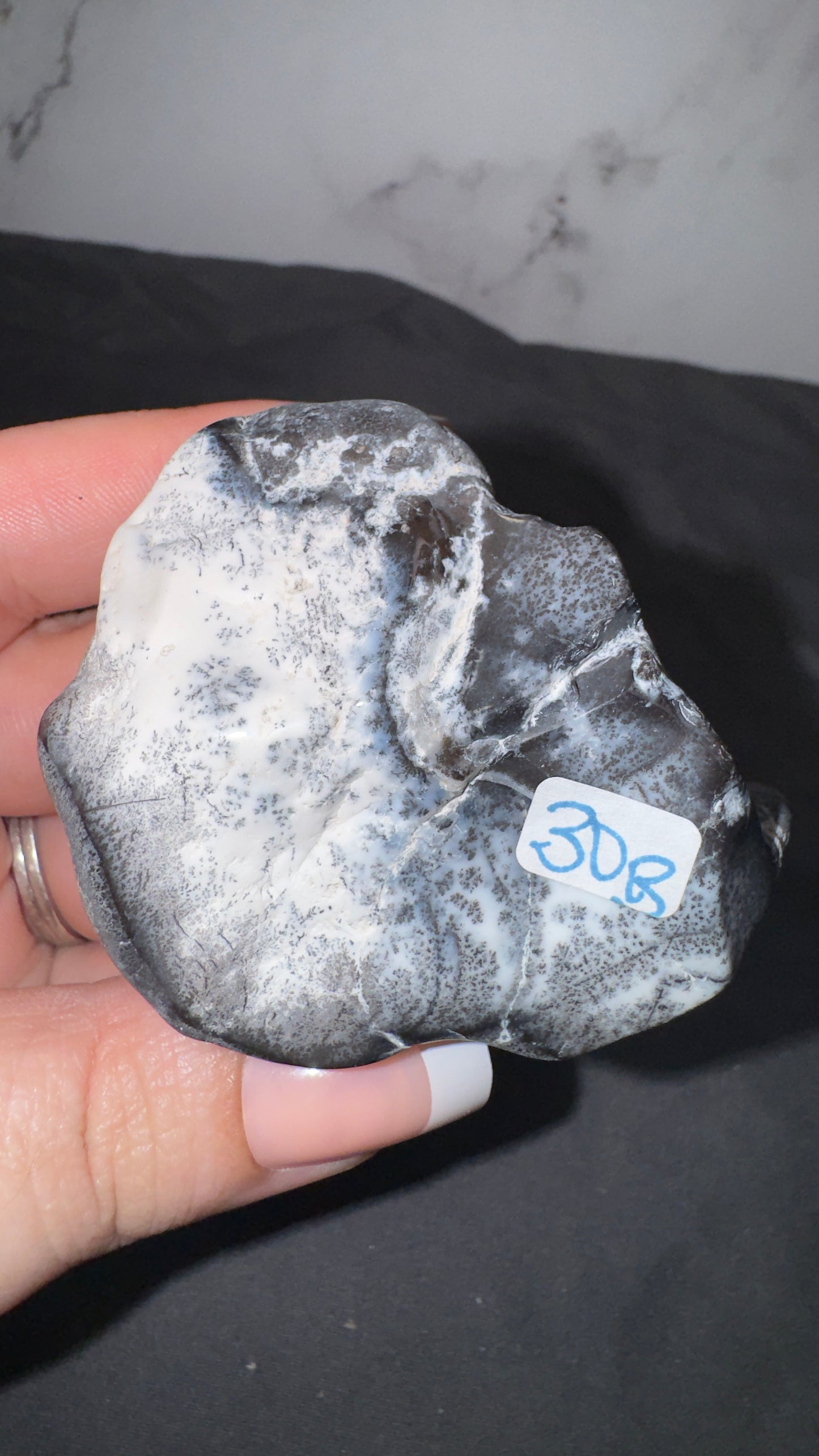 Dendretic opal