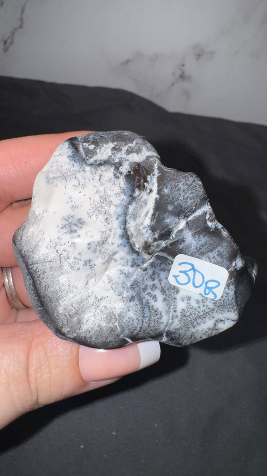 Dendretic opal