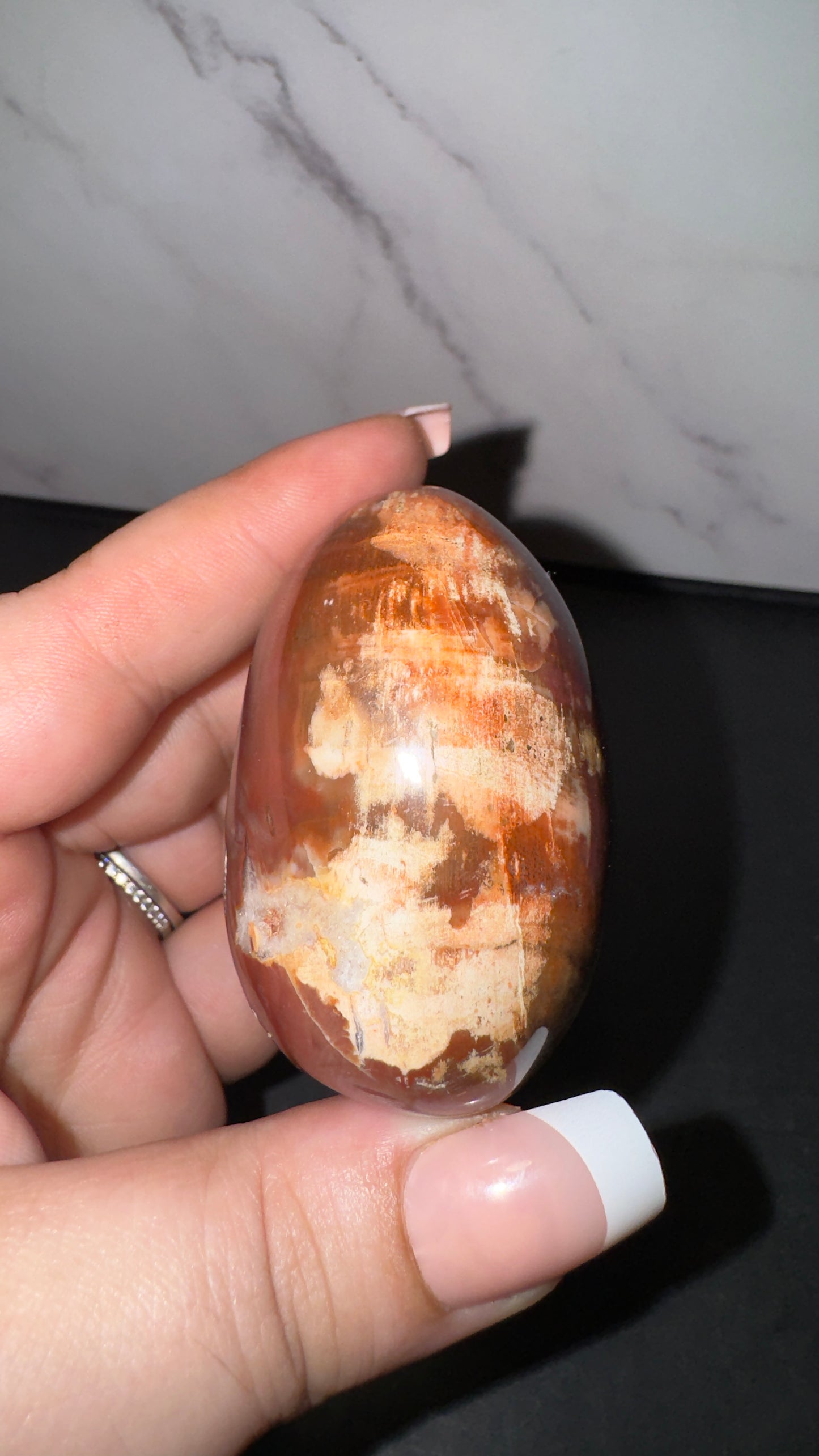 Petrified wood