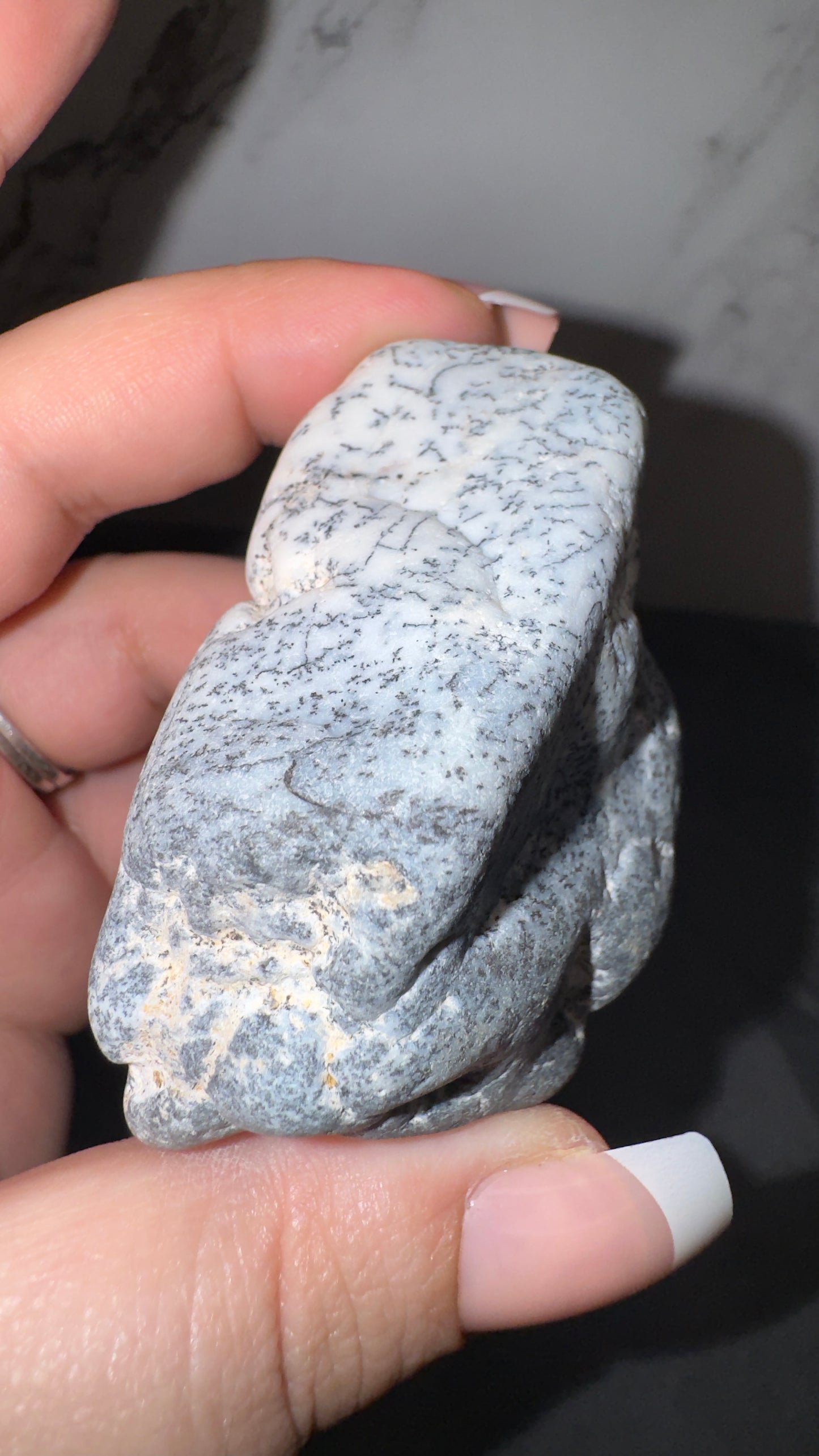 Dendretic opal