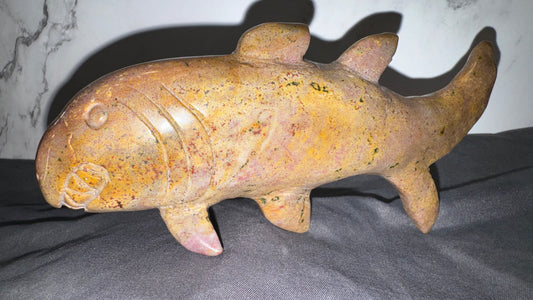 Ocean jasper shark