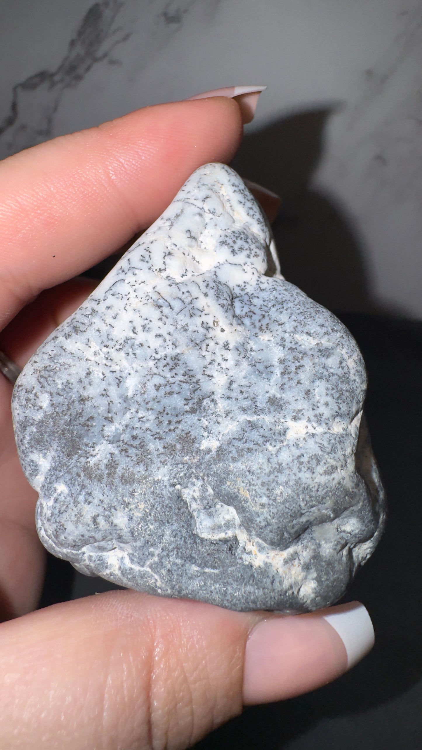 Dendretic opal
