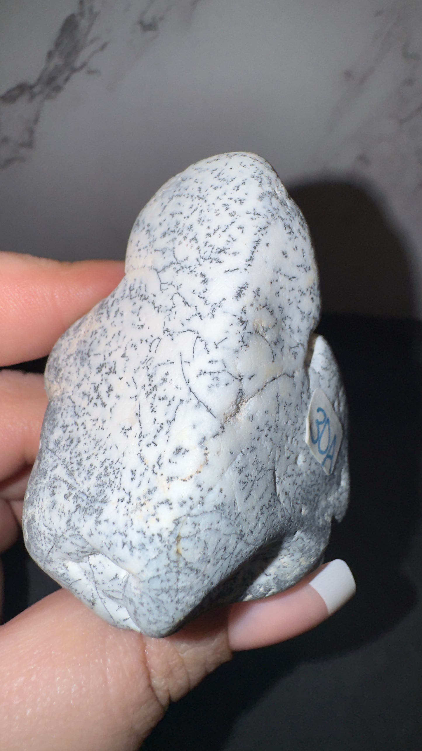 Dendretic opal