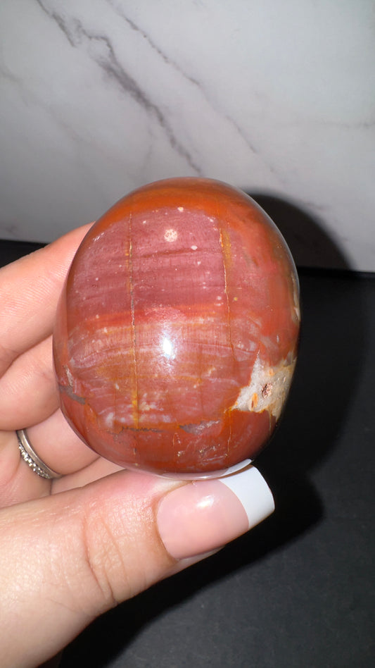 Petrified wood