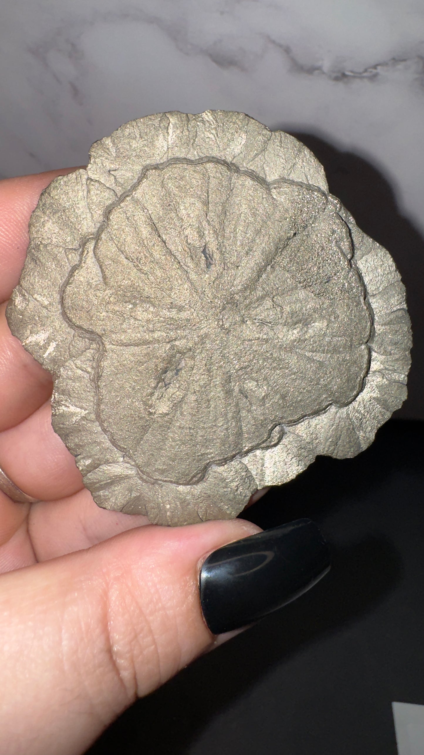 Pyrite sun! B
