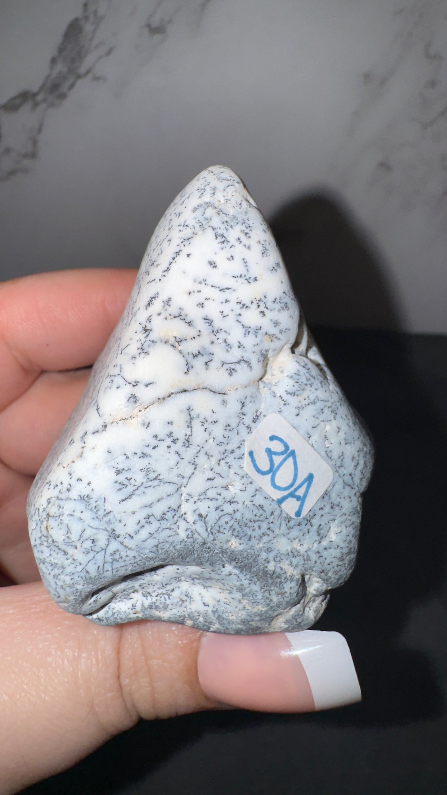 Dendretic opal