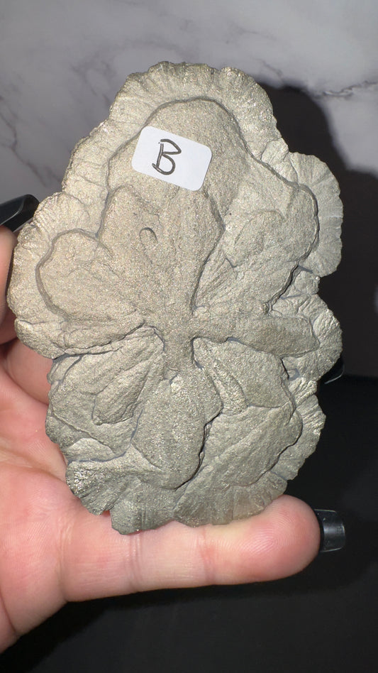 Large pyrite sun! B