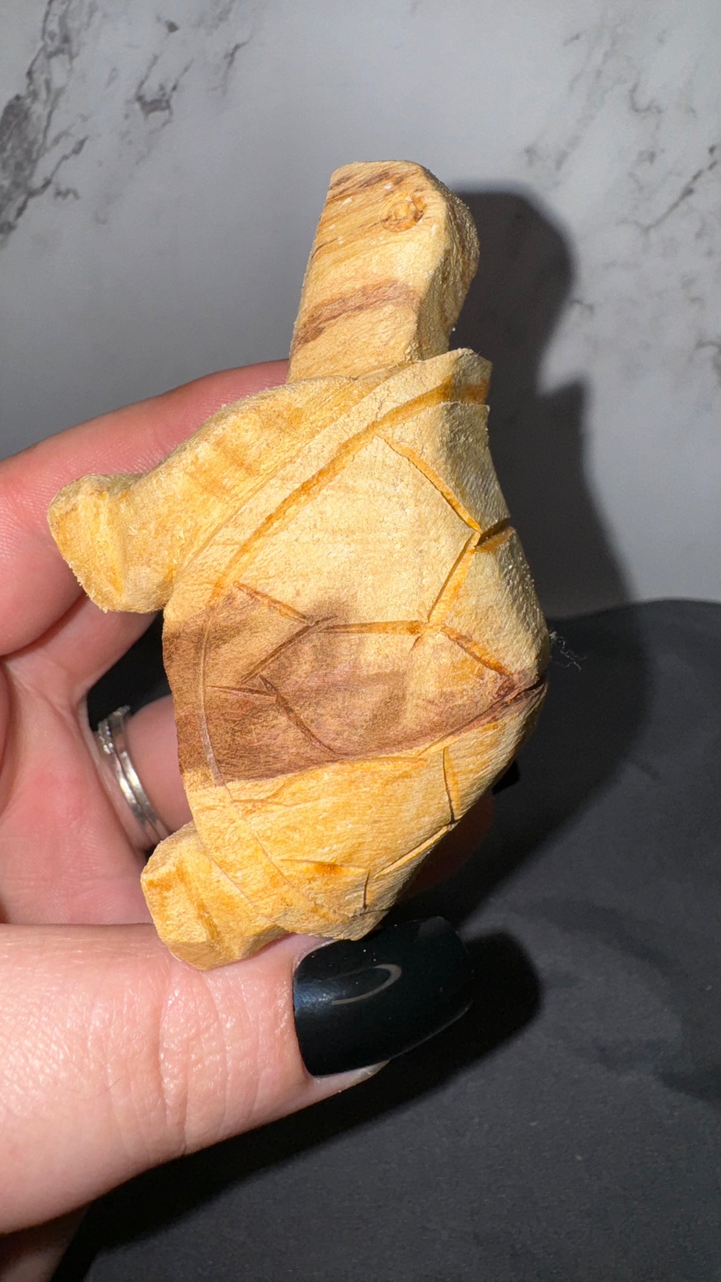 Palo santo turtles