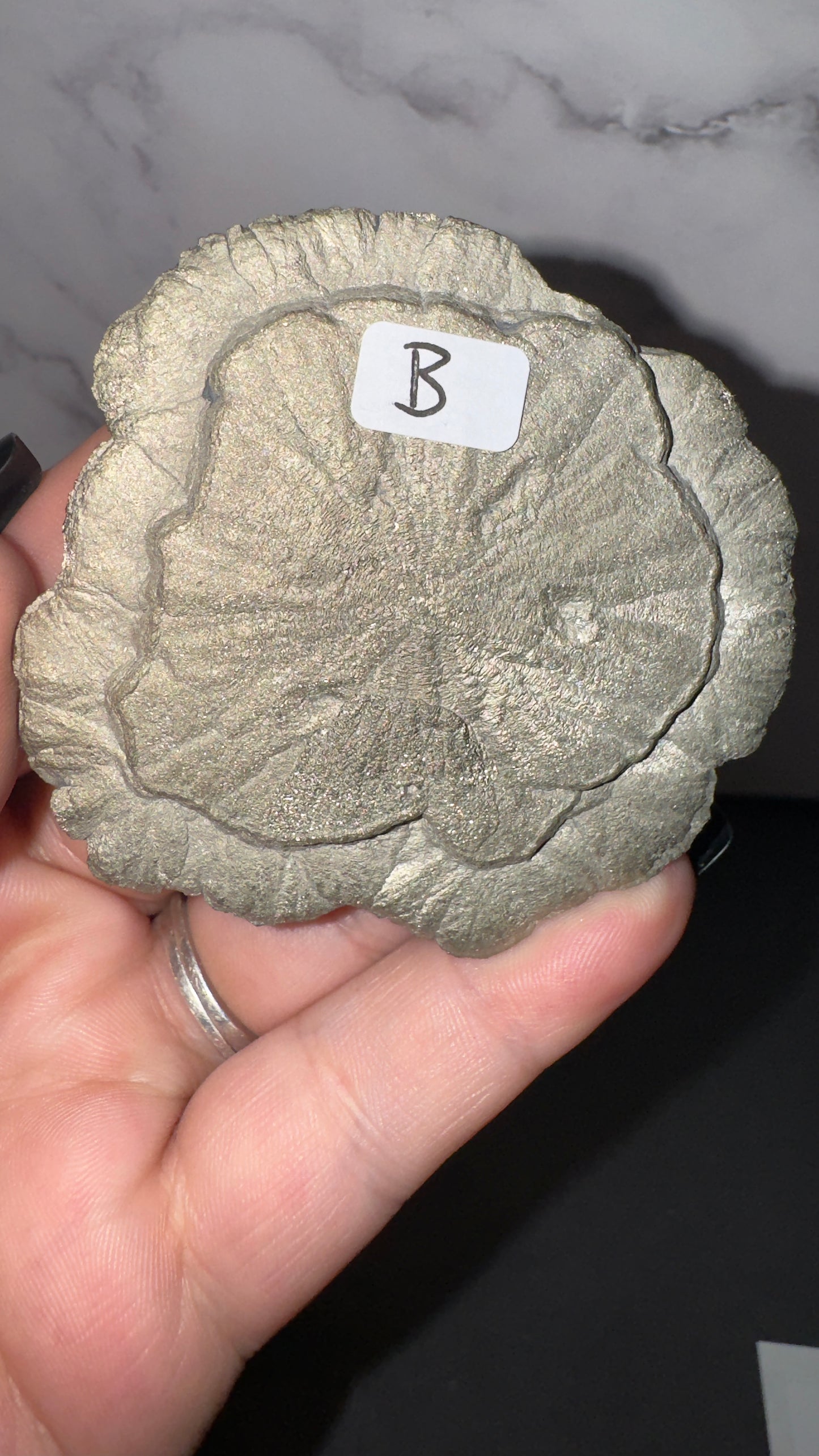 Pyrite sun! B