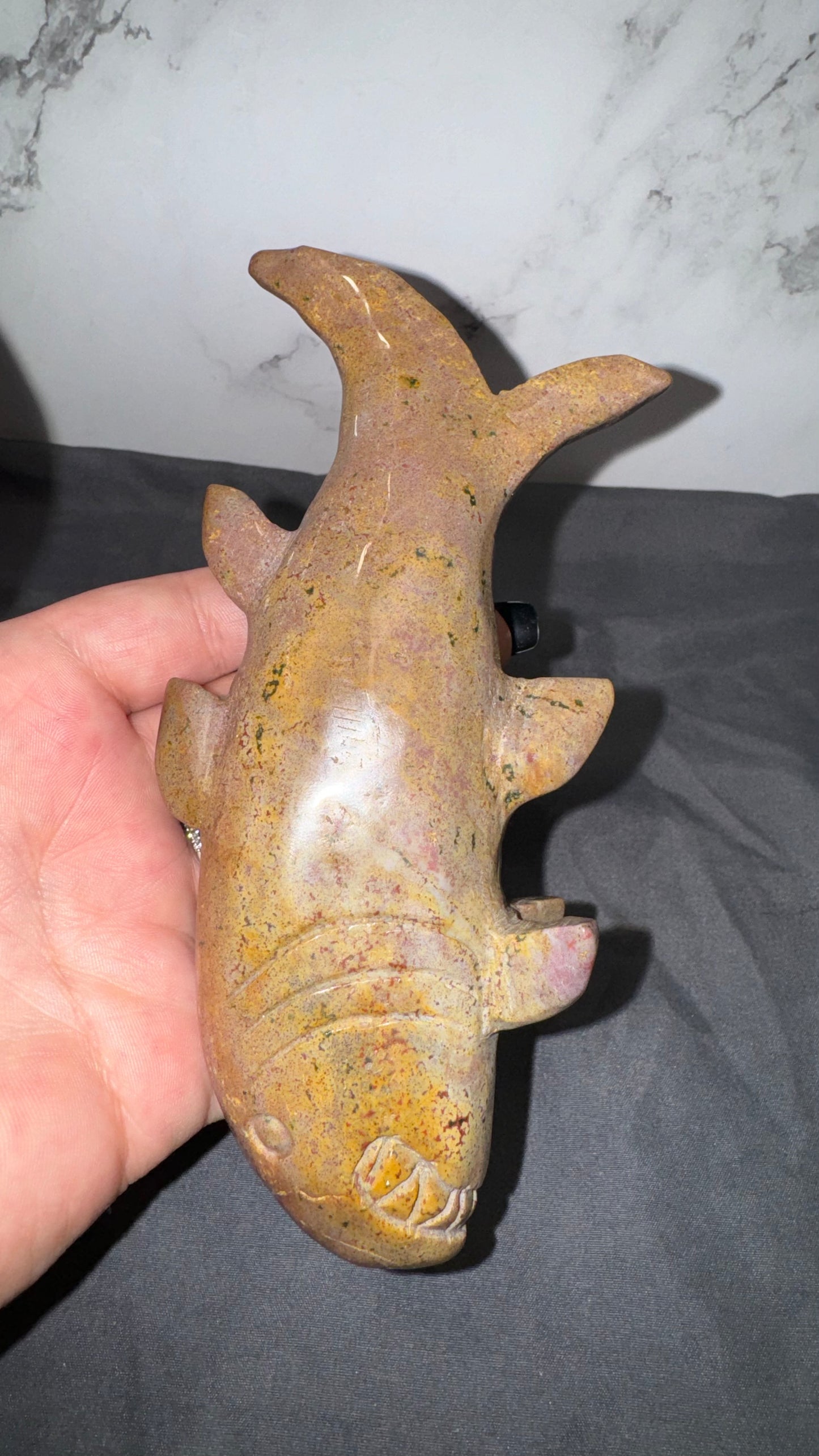 Ocean jasper shark