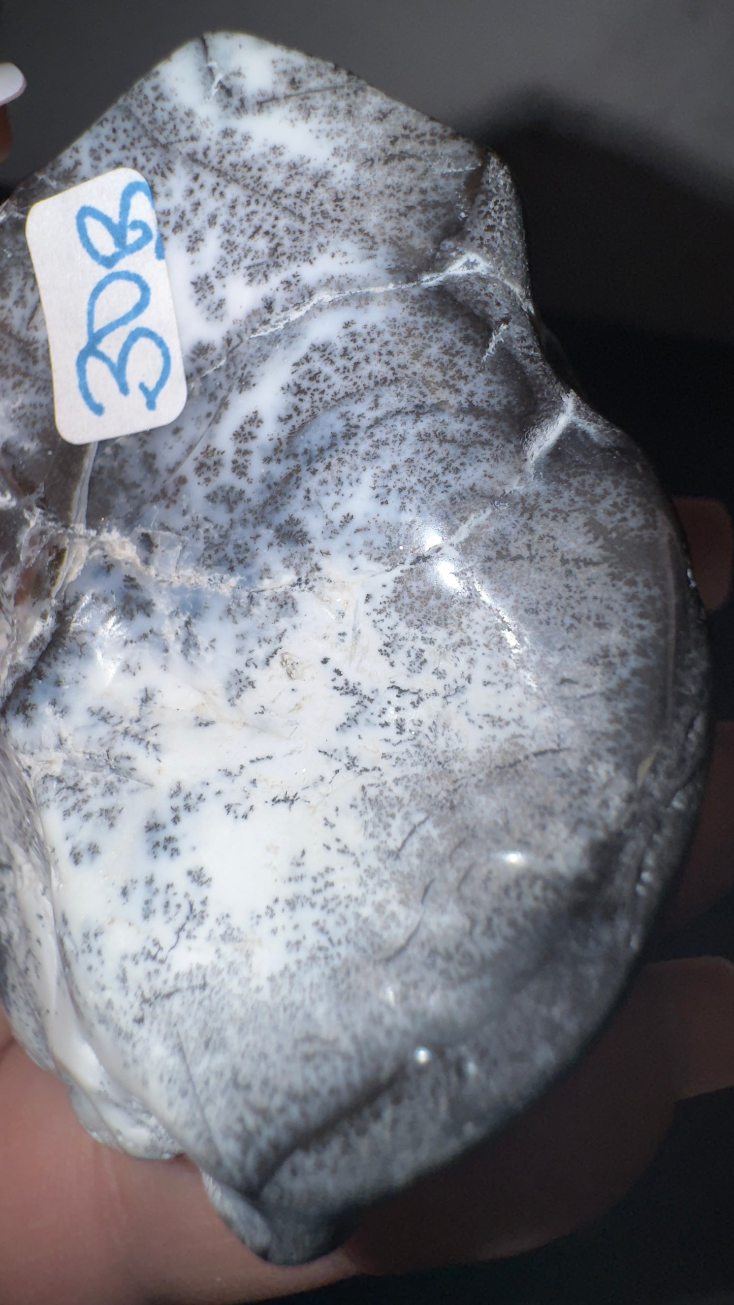 Dendretic opal