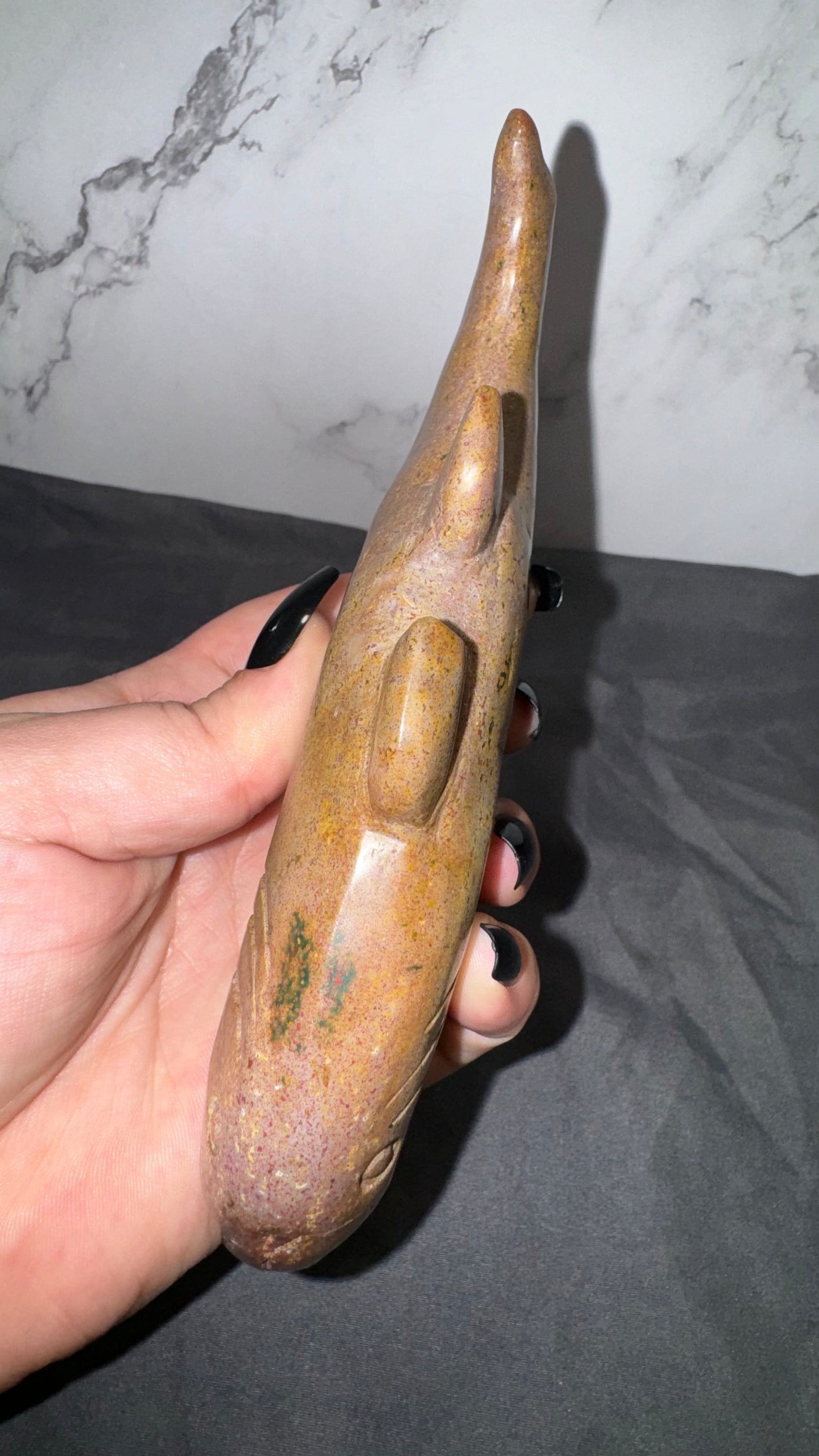 Ocean jasper shark