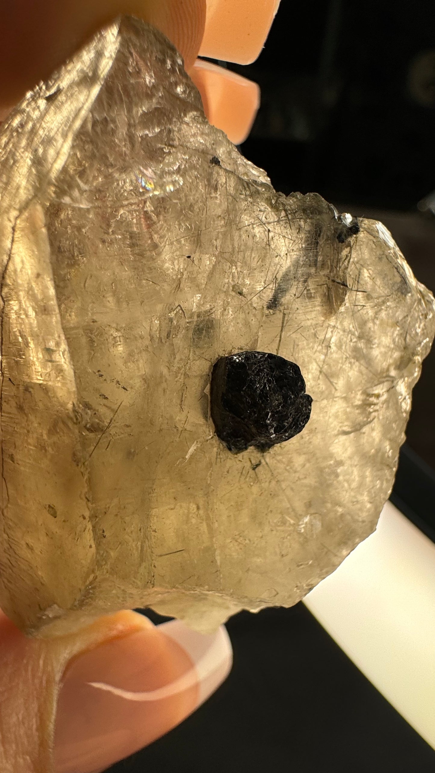 Black and blue tourmaline in Smokey quartz