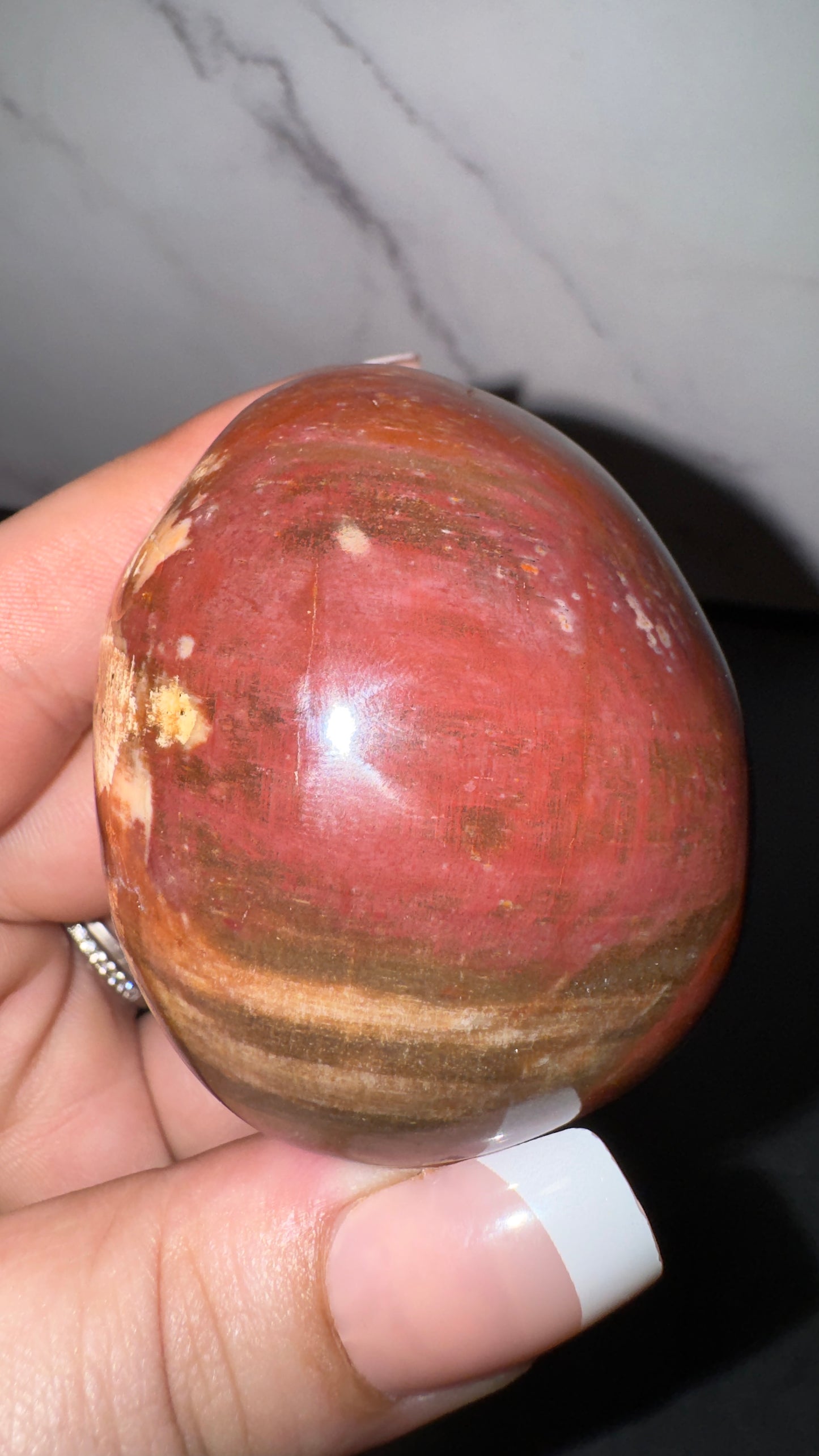 Petrified wood