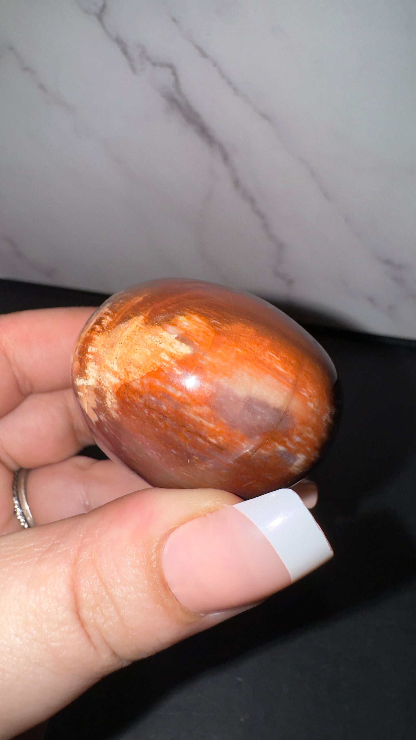 Petrified wood