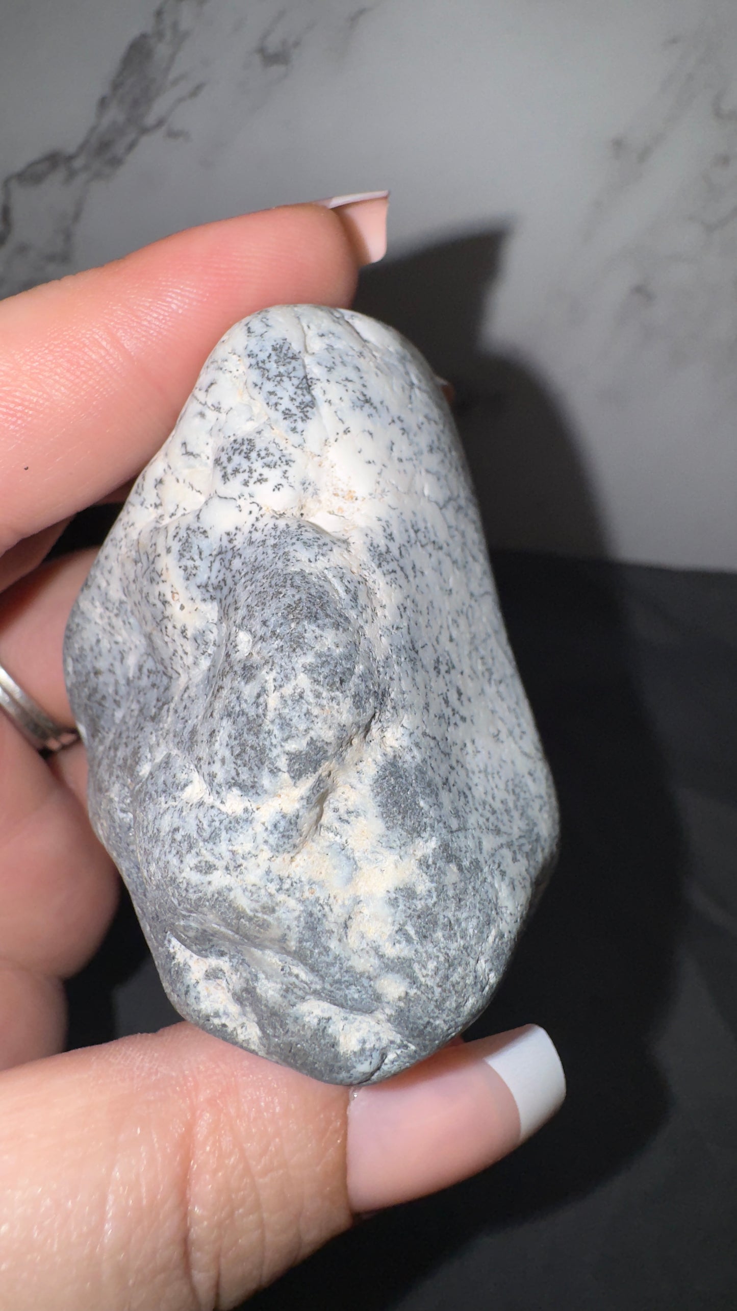 Dendretic opal