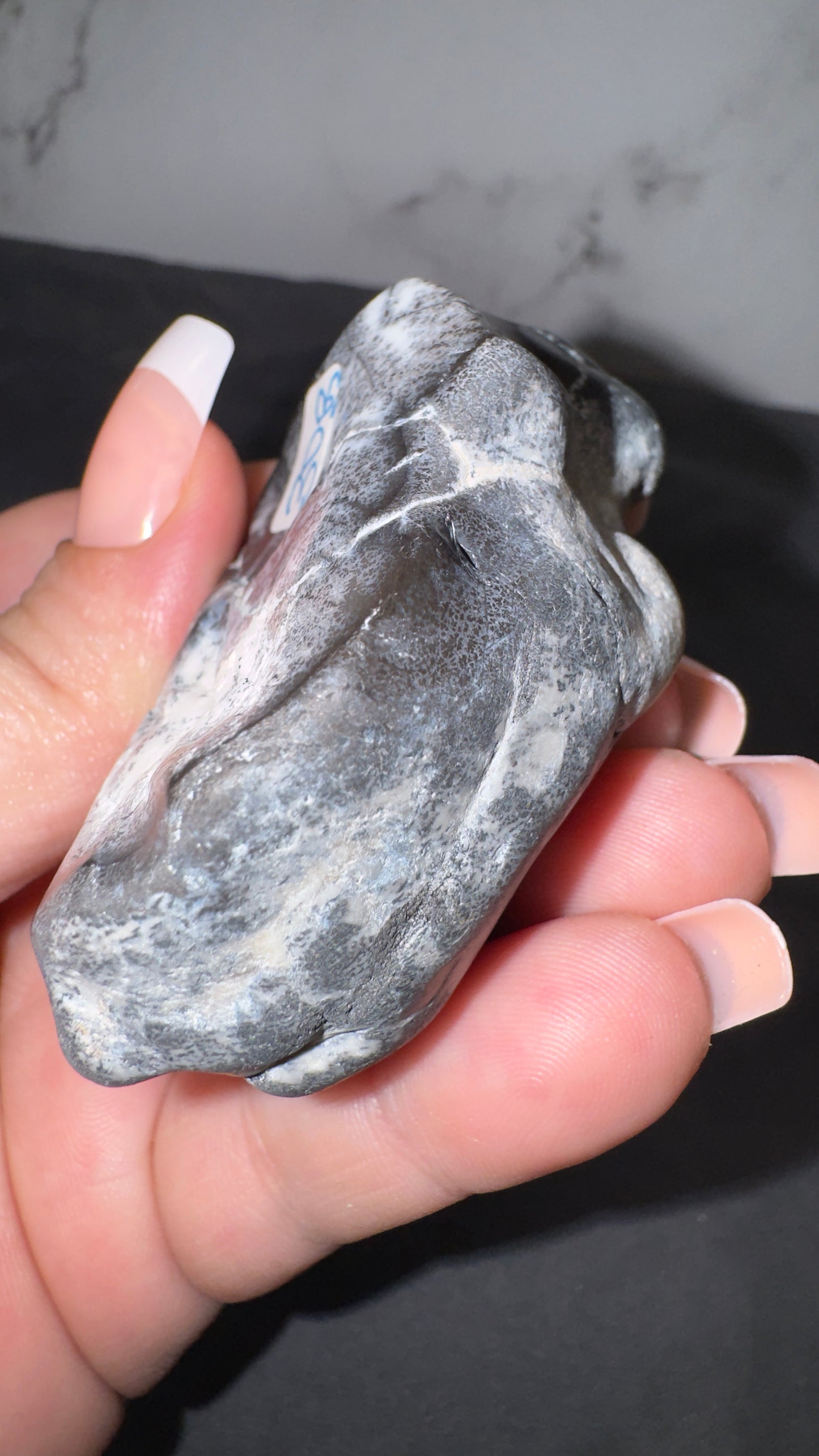 Dendretic opal