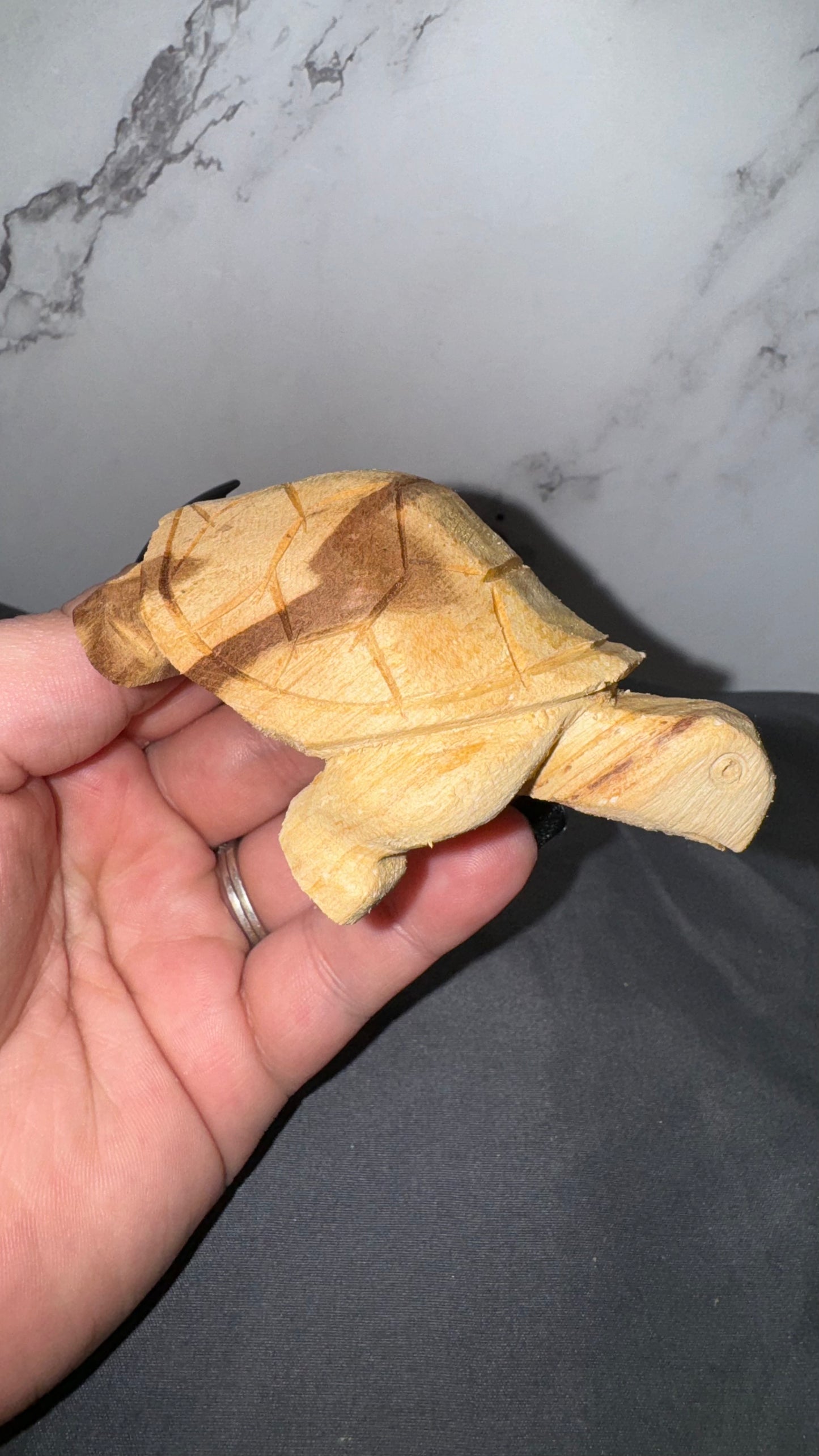 Palo santo turtles