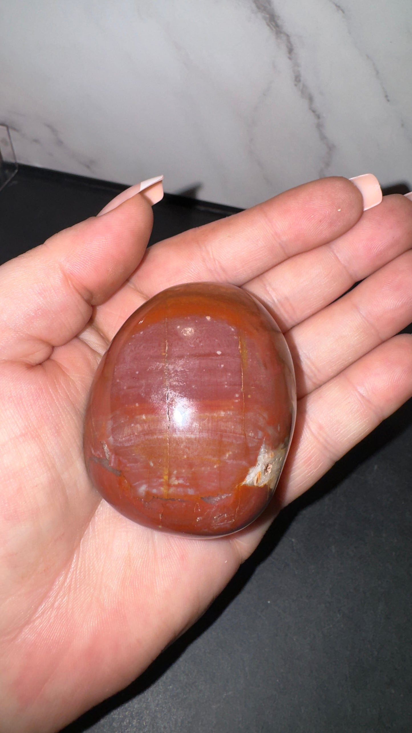 Petrified wood