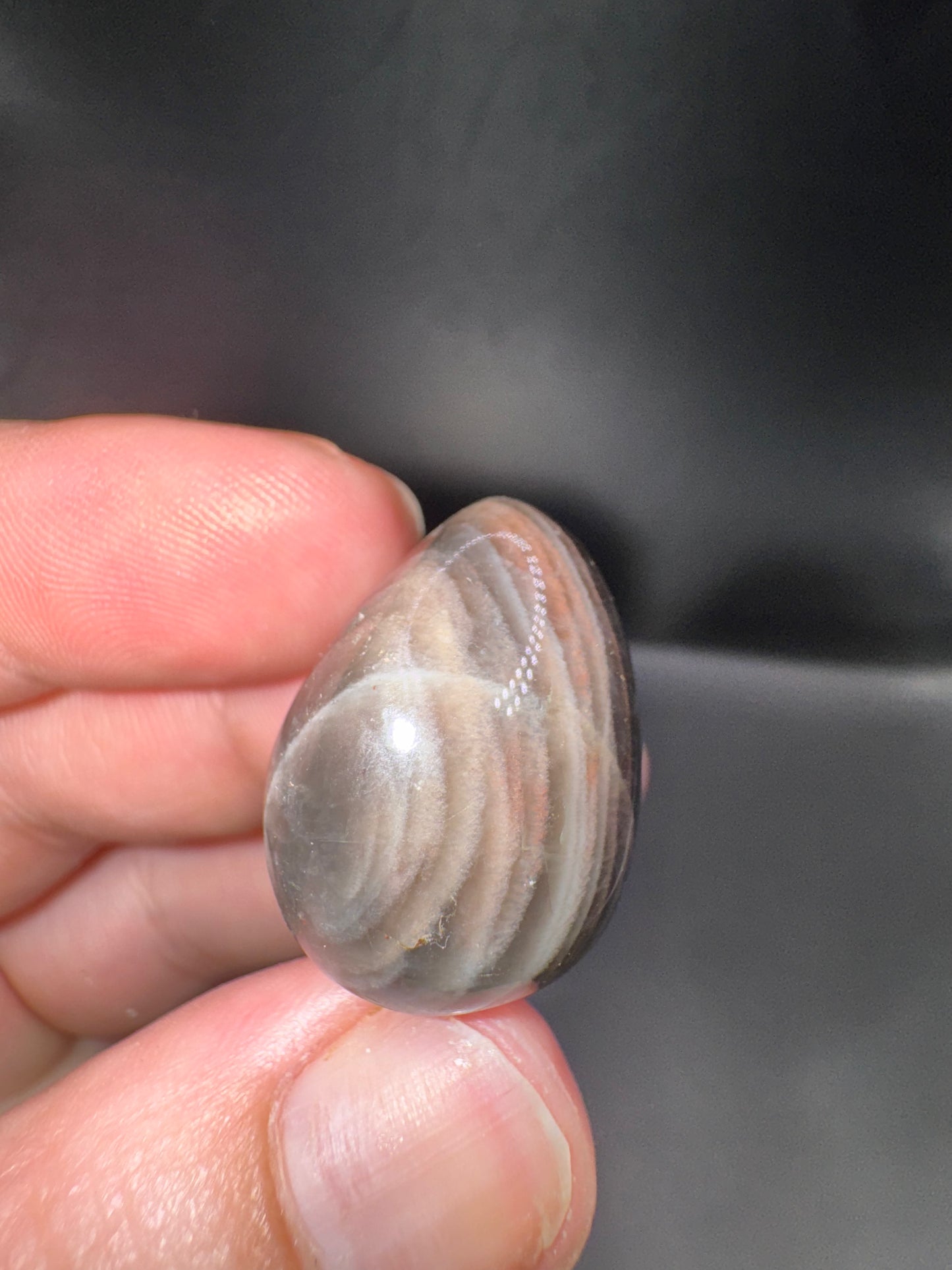 Black moonstone eggs