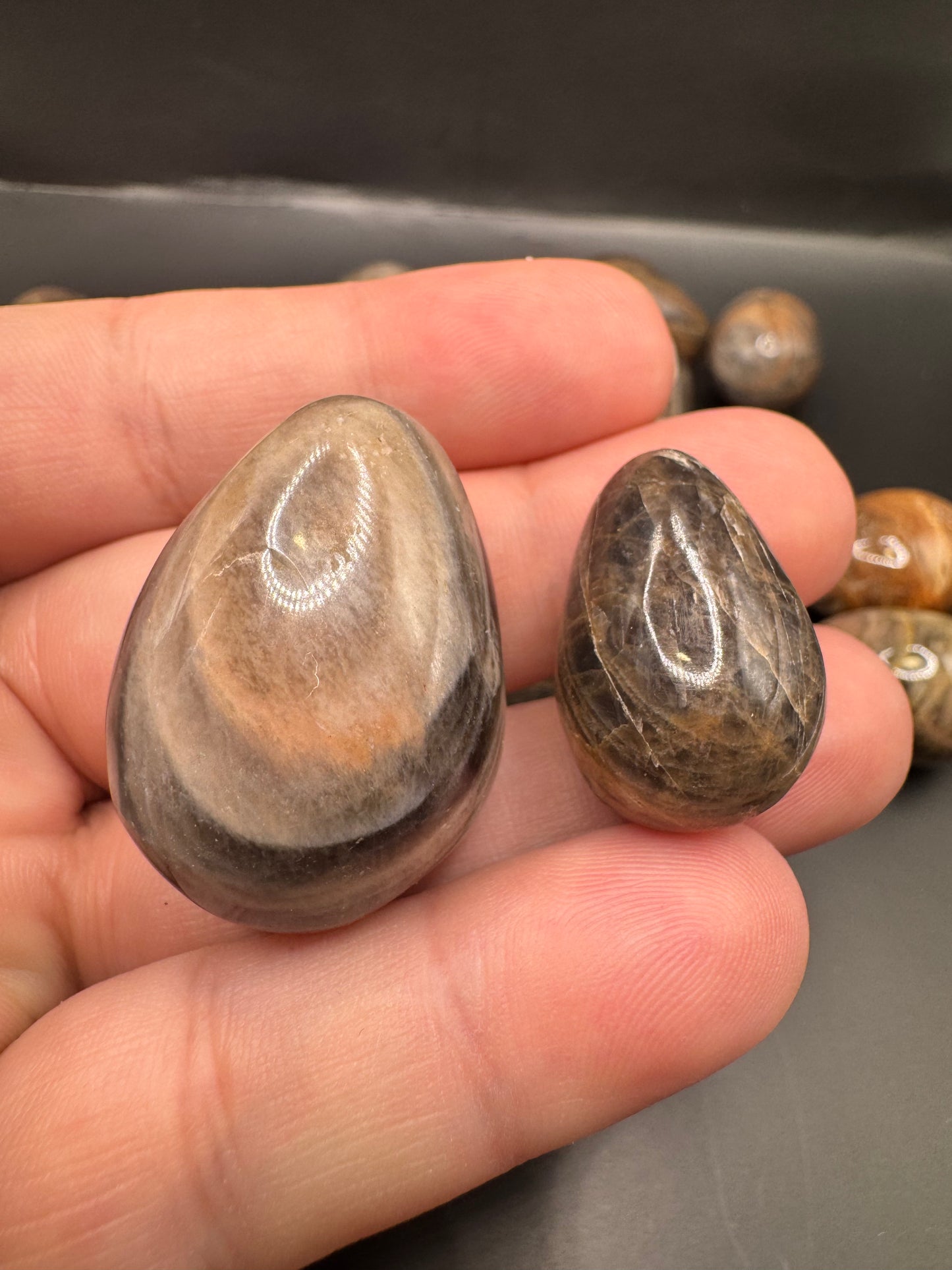 Black moonstone eggs