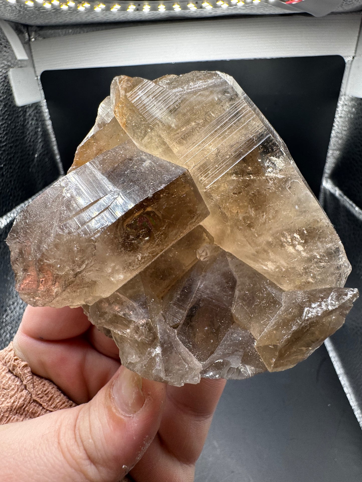 Smokey Lemurian