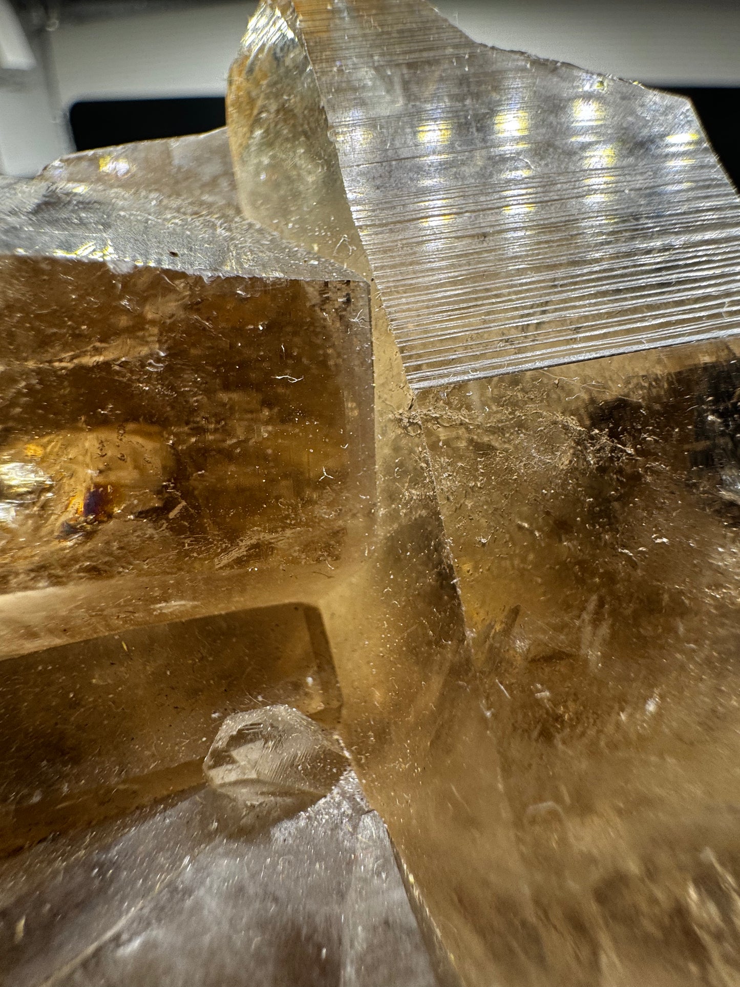 Smokey Lemurian
