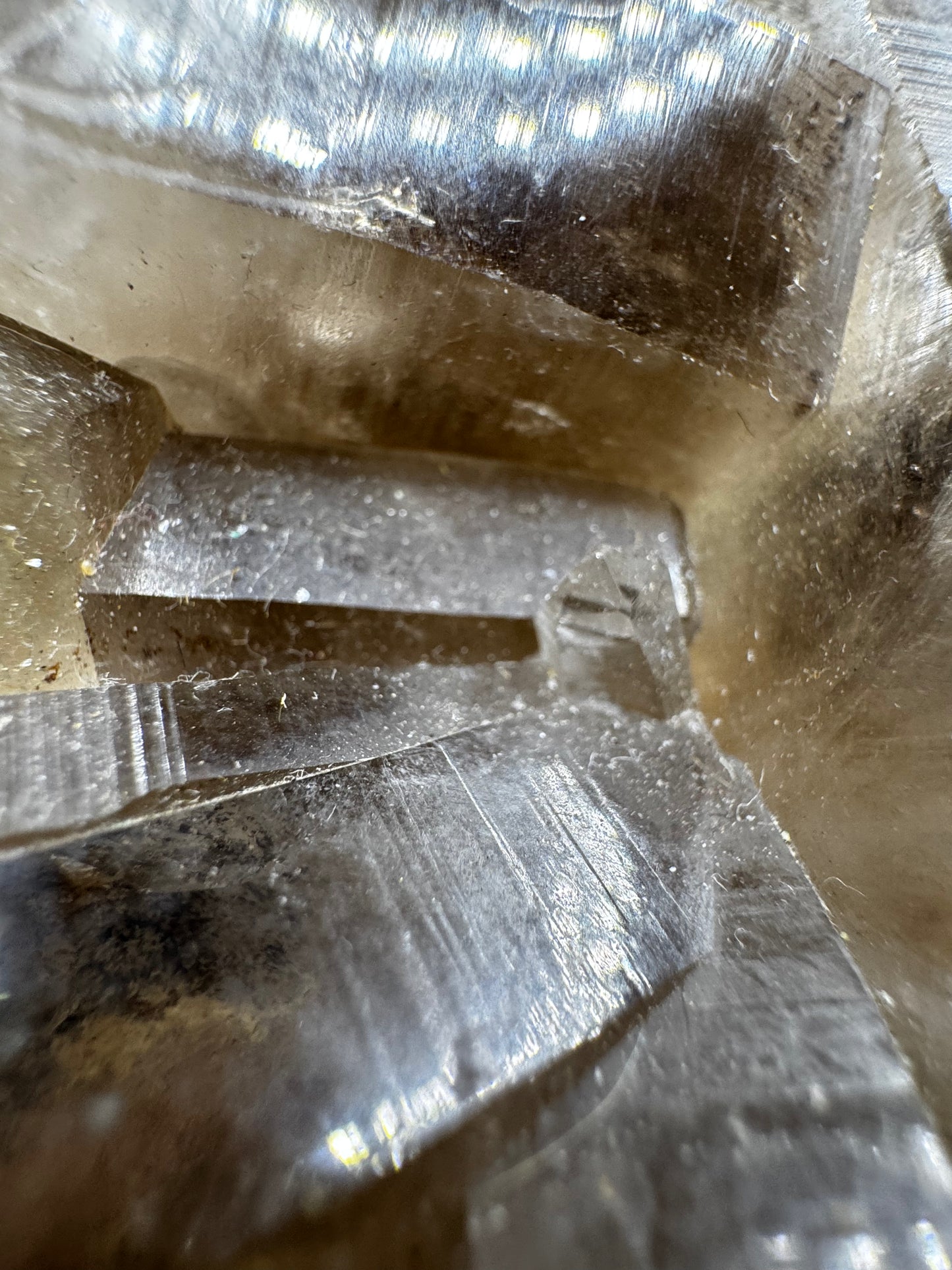 Smokey Lemurian